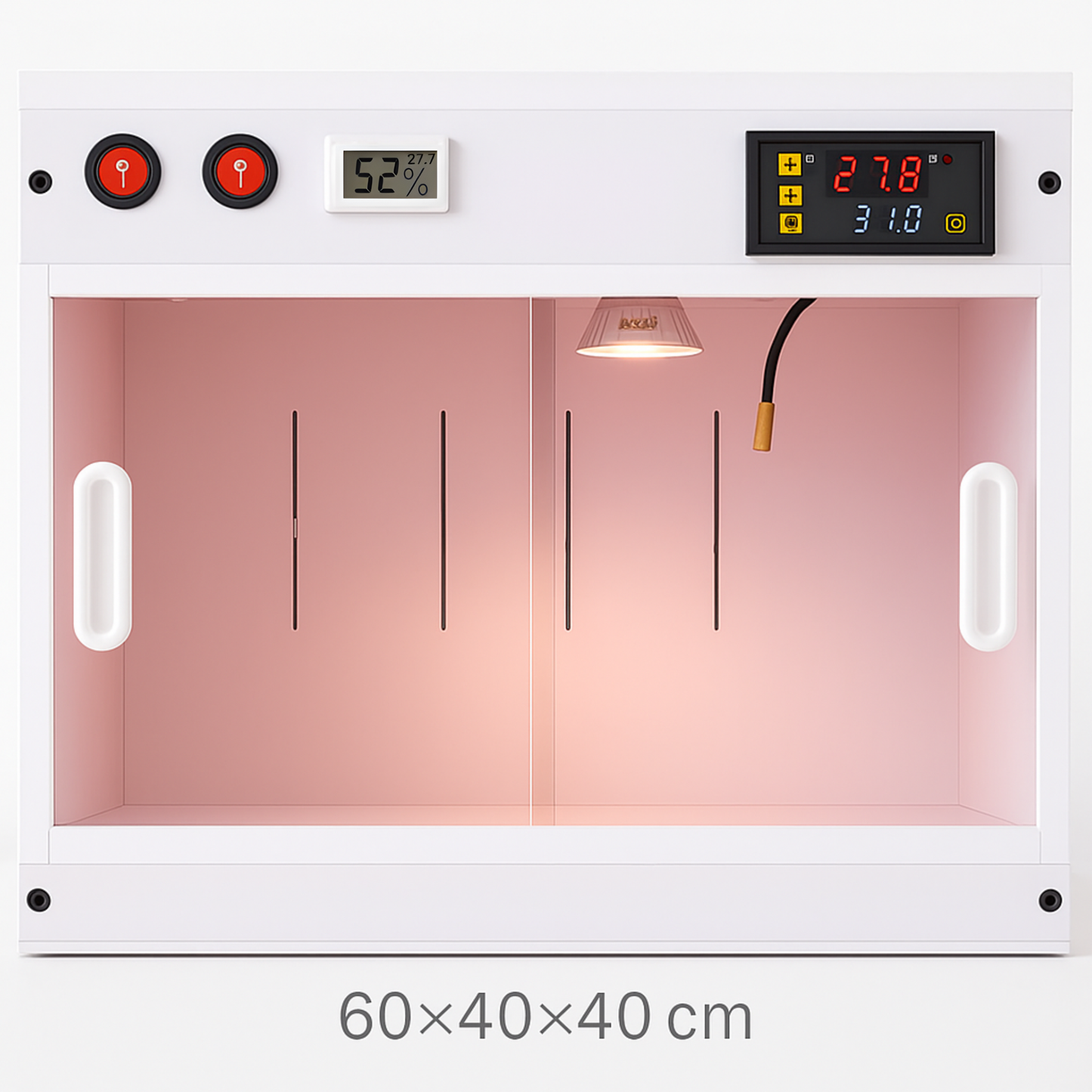 Petit Terrarium en PVC