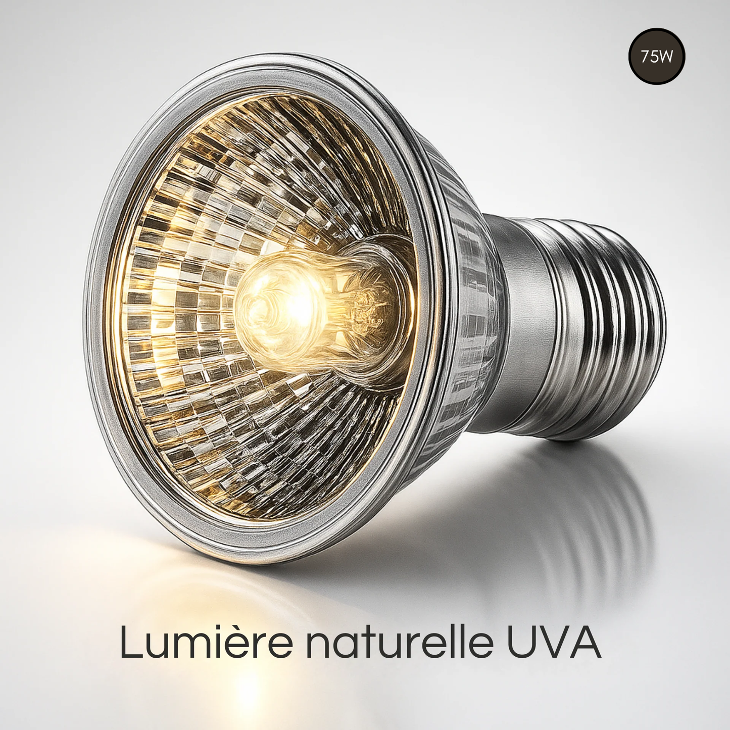 Ampoule UVA pour Terrarium