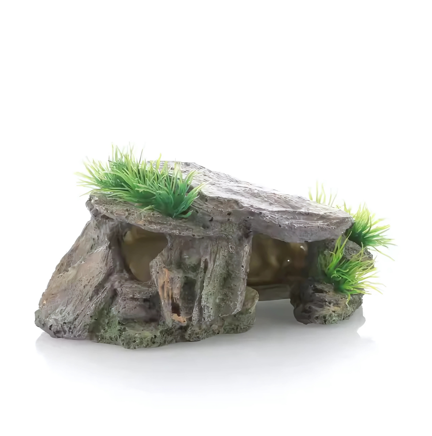 Cachette Terrarium pour Reptiles & Tortues – Résine Naturelle Haute Qualité