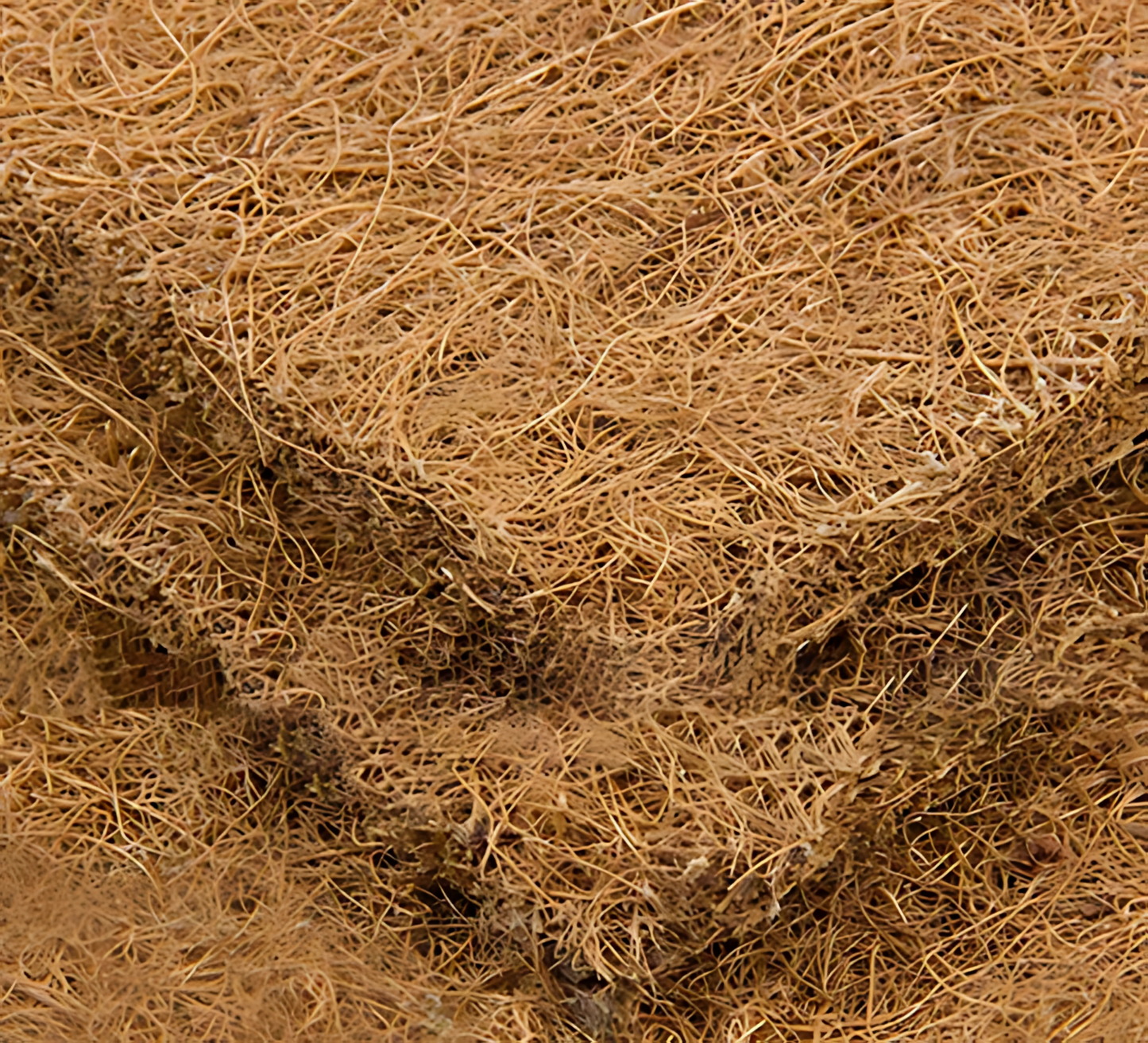 Tapis en Fibres Naturelles pour Terrarium