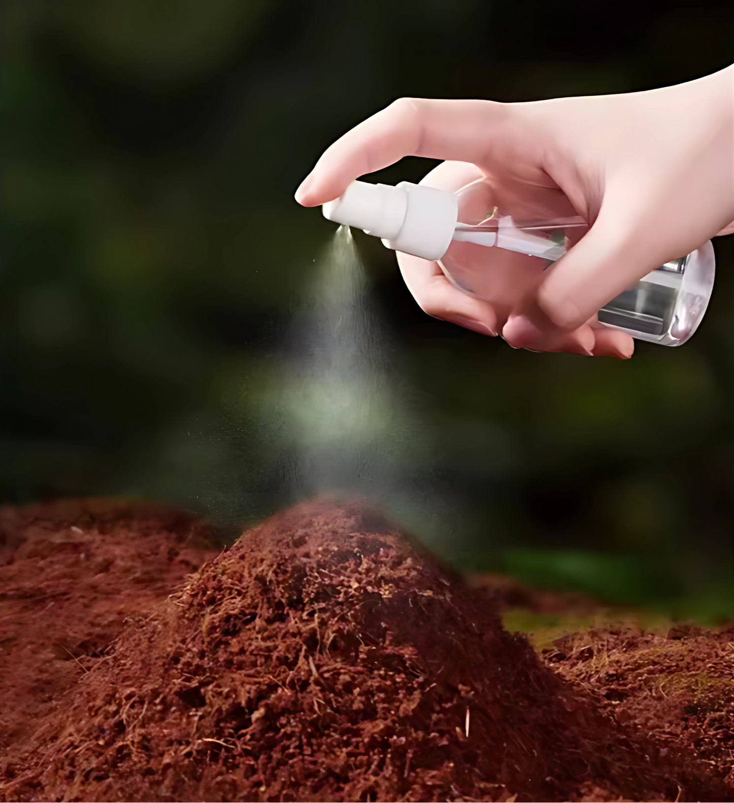 Kit- Fibre de Coco pour Terrarium et Mousse de Sphaigne