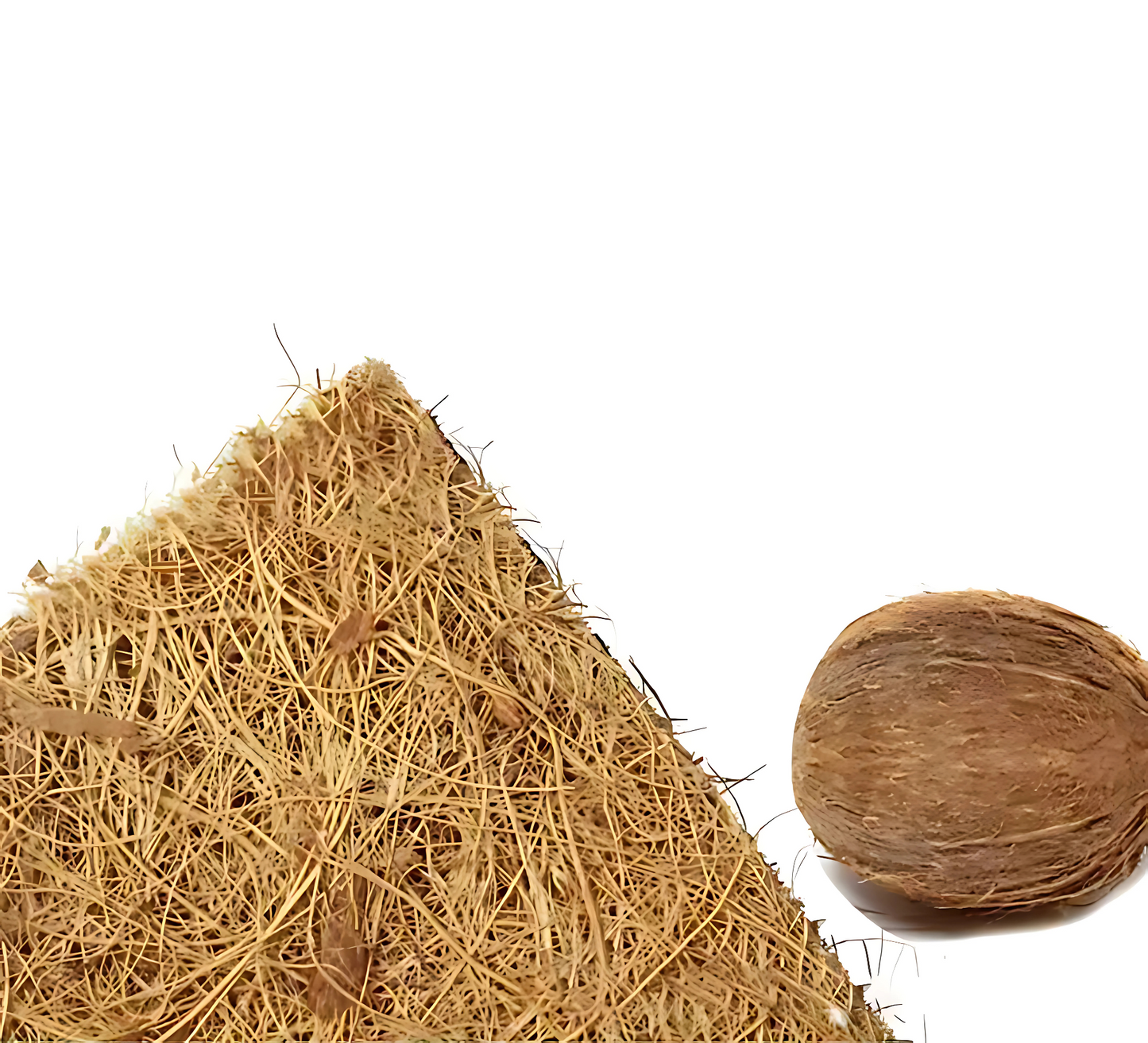 Tapis en Fibres Naturelles pour Terrarium