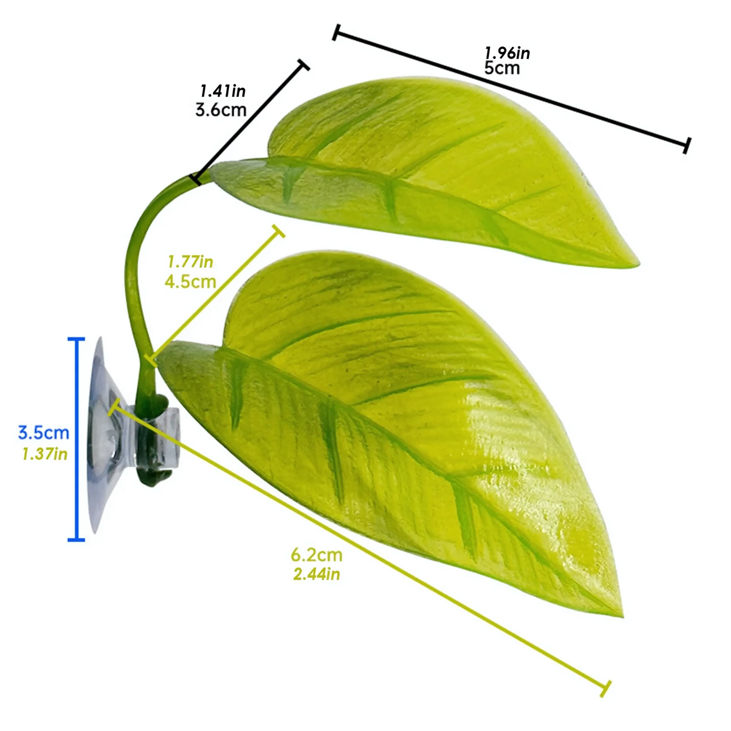 Feuille Ventouse pour Terrarium – Repos & Cachette Reptiles