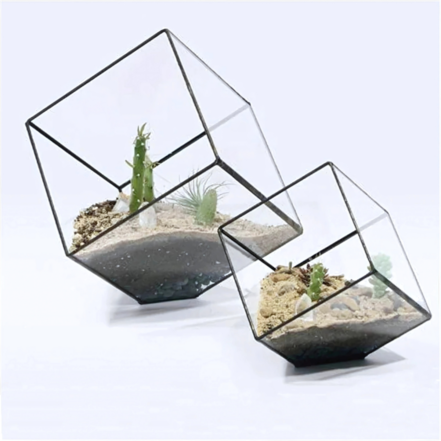 Kit Terrarium en Verre Cube