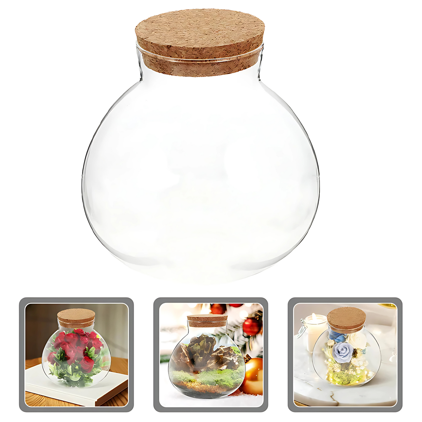 Bouteille Écologique en Verre – Terrarium Décoratif Créatif
