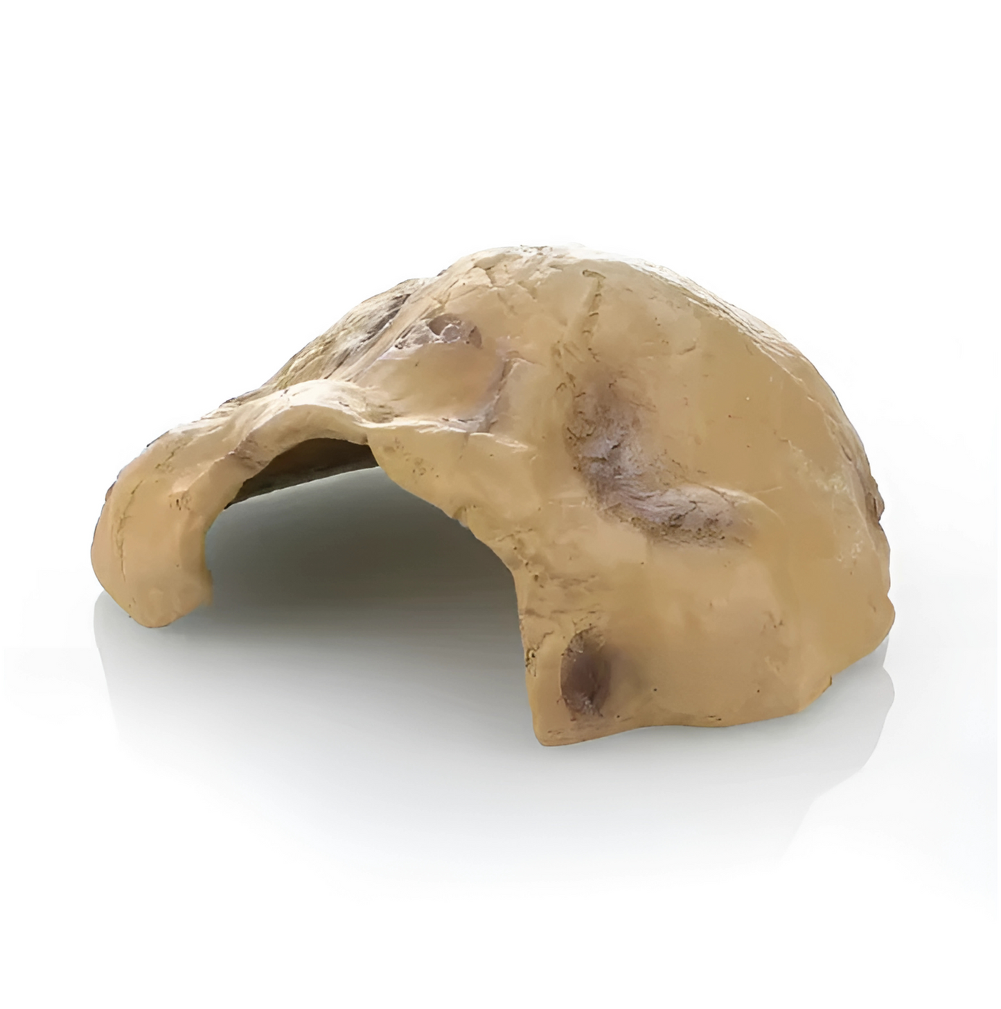 Cachette Terrarium pour Reptiles & Tortues – Résine Naturelle Haute Qualité