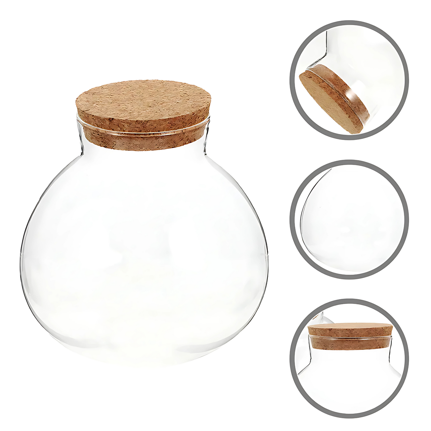Bouteille Écologique en Verre – Terrarium Décoratif Créatif