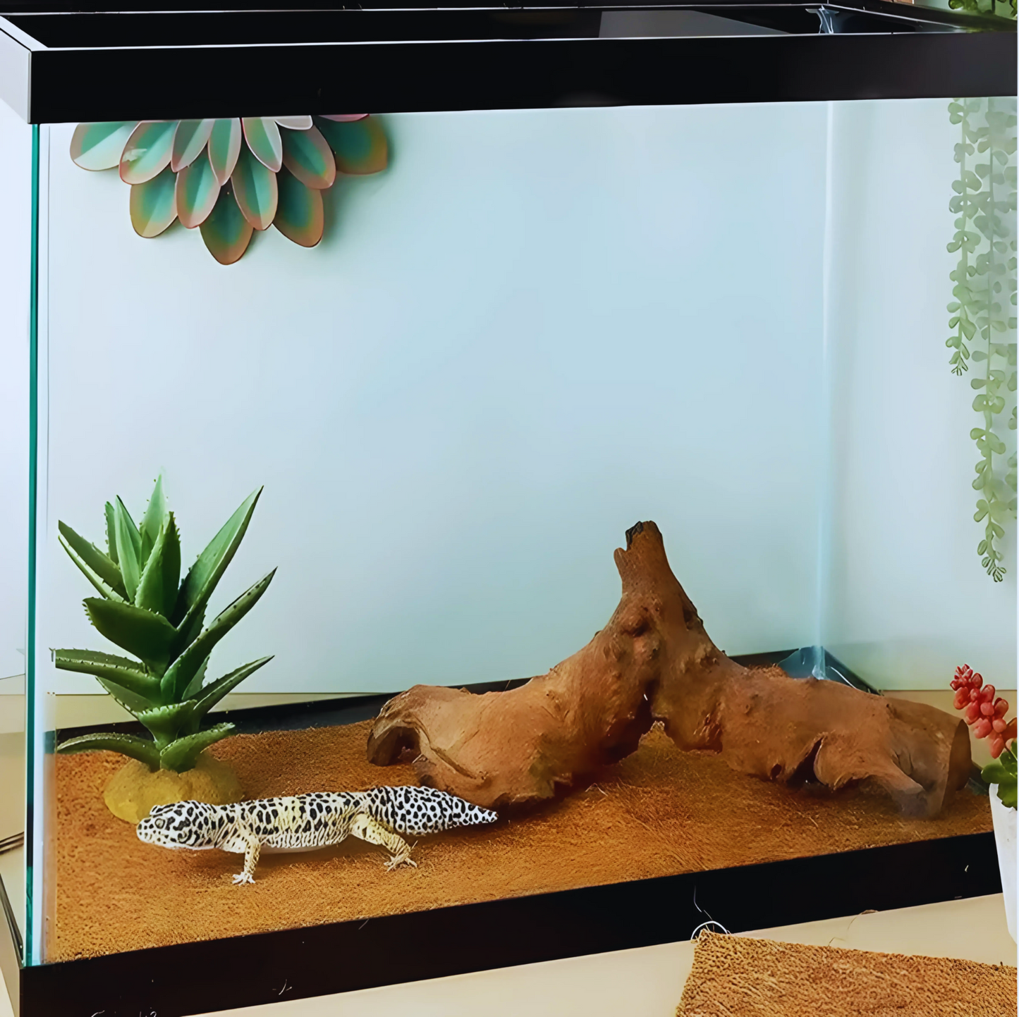 Tapis en Fibres Naturelles pour Terrarium