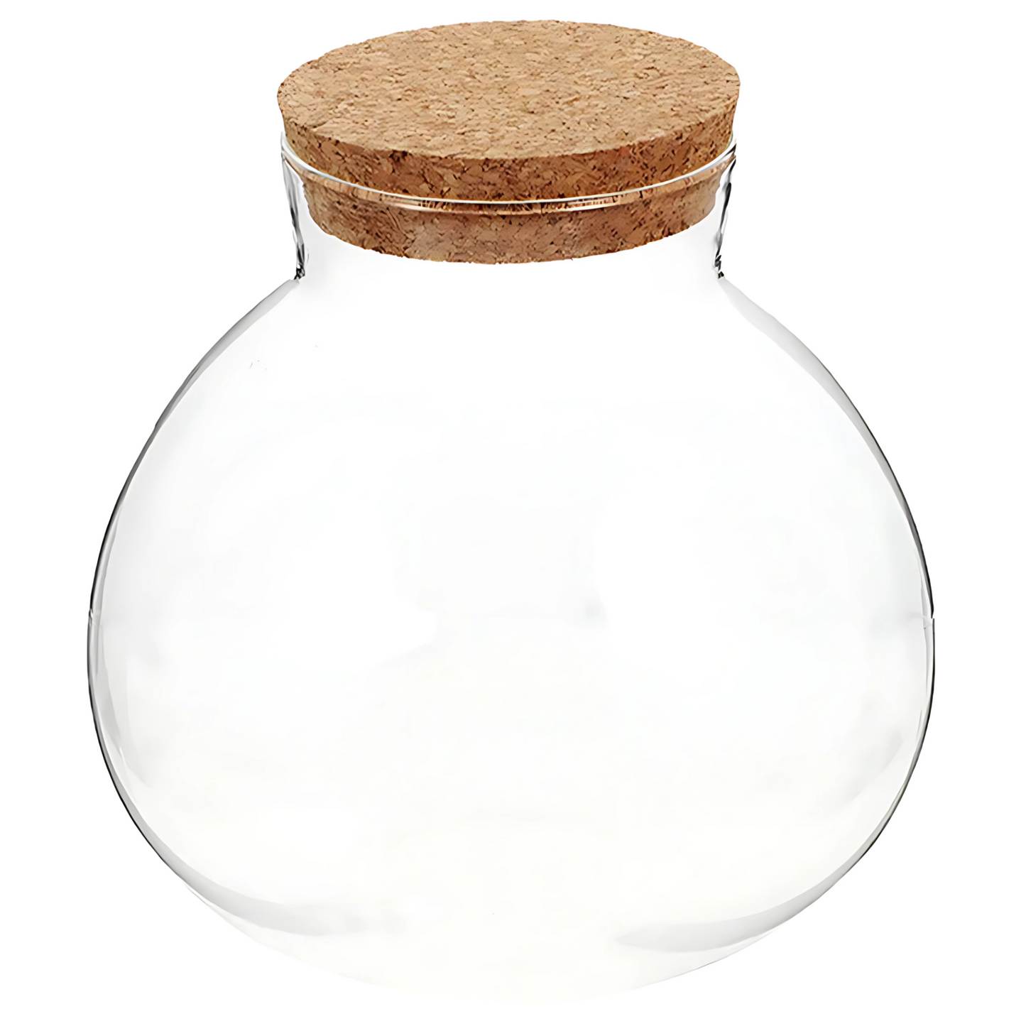 Bouteille Écologique en Verre – Terrarium Décoratif Créatif