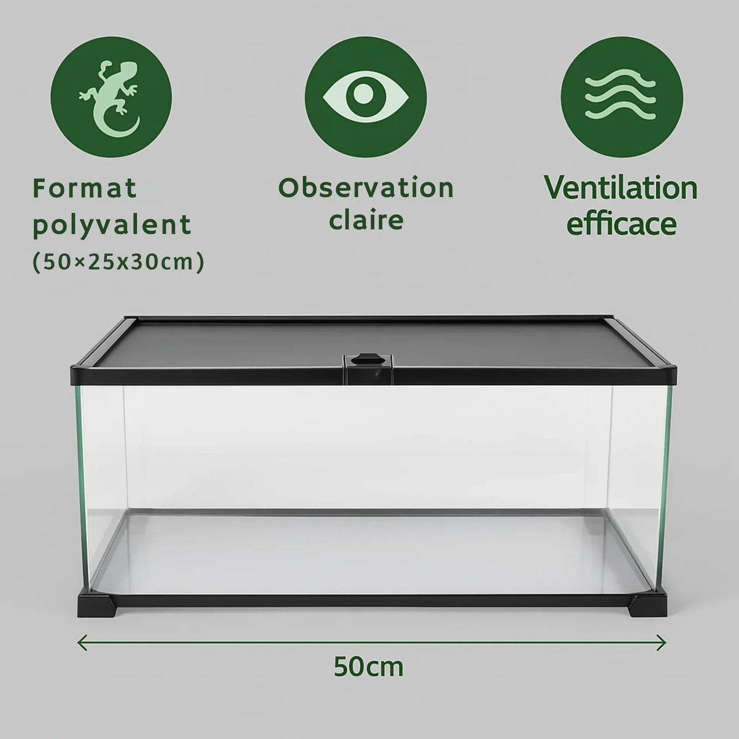 Terrarium avec Couvercle Coulissant (50 × 25 × 30 cm)