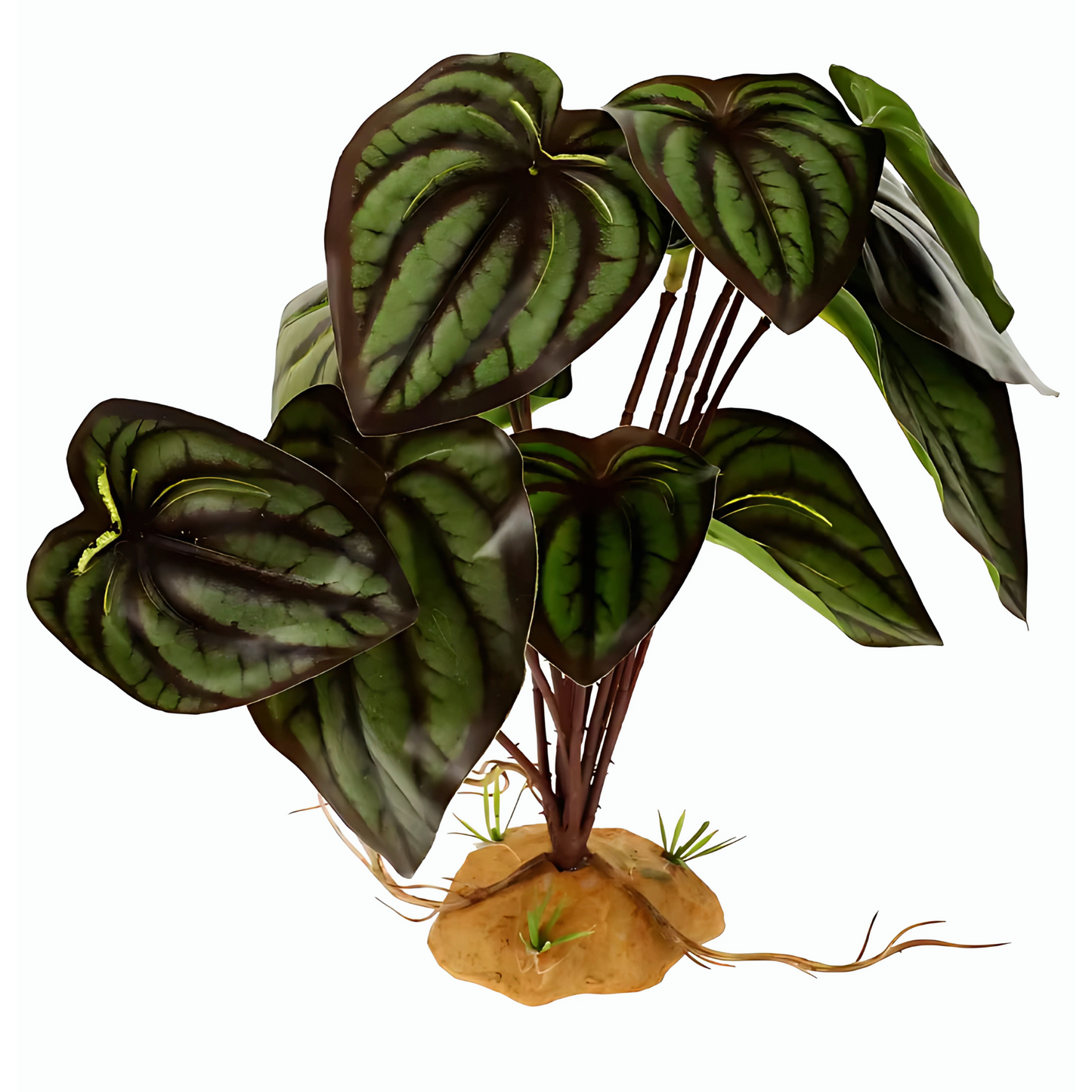 Plante Tropicale pour Terrarium – Feuillage Artificiel Réaliste