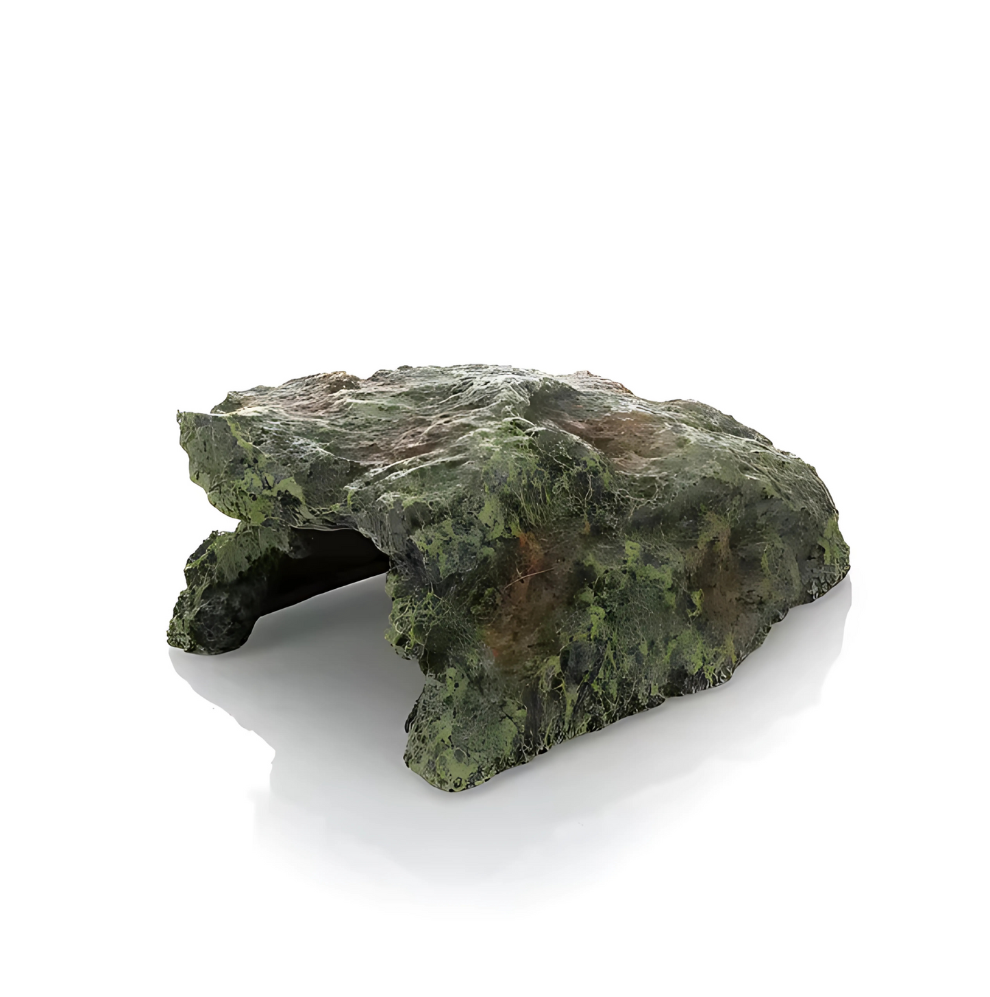 Cachette Terrarium pour Reptiles & Tortues – Résine Naturelle Haute Qualité