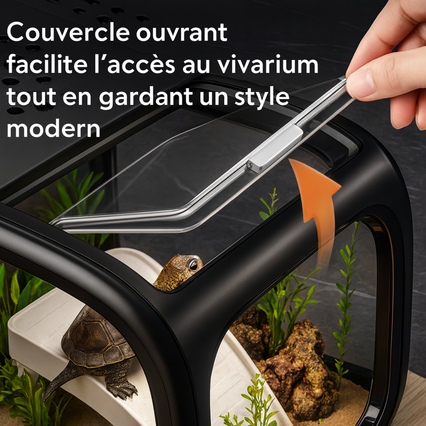 Vivarium pour tortue - Terrarium Aquatique Transparent