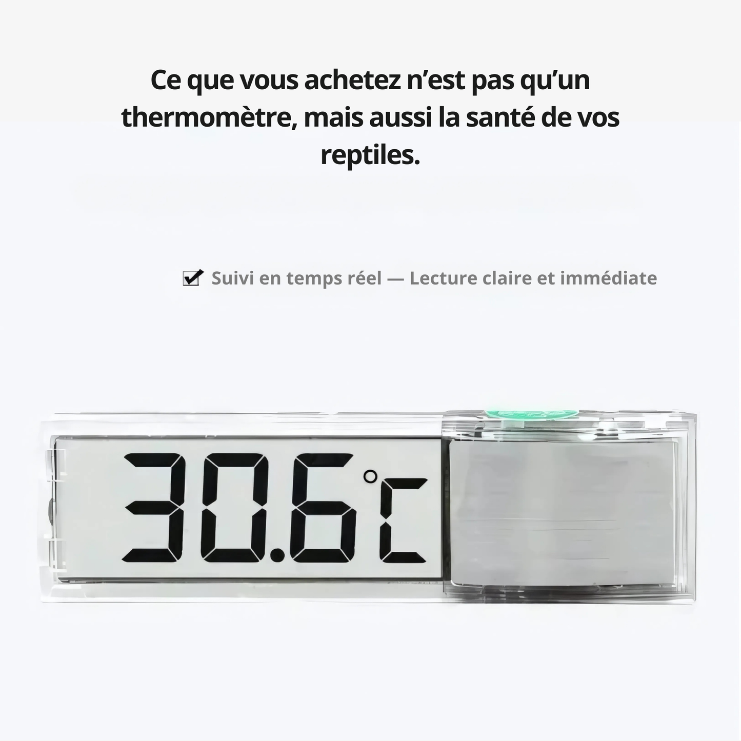 Thermomètre Électronique LCD pour Terrarium – Affichage Digital