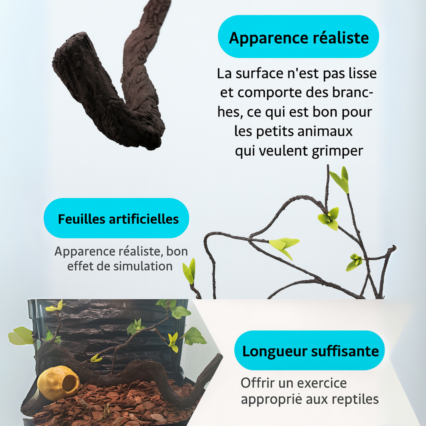 Lianes pour Terrarium style Jungle