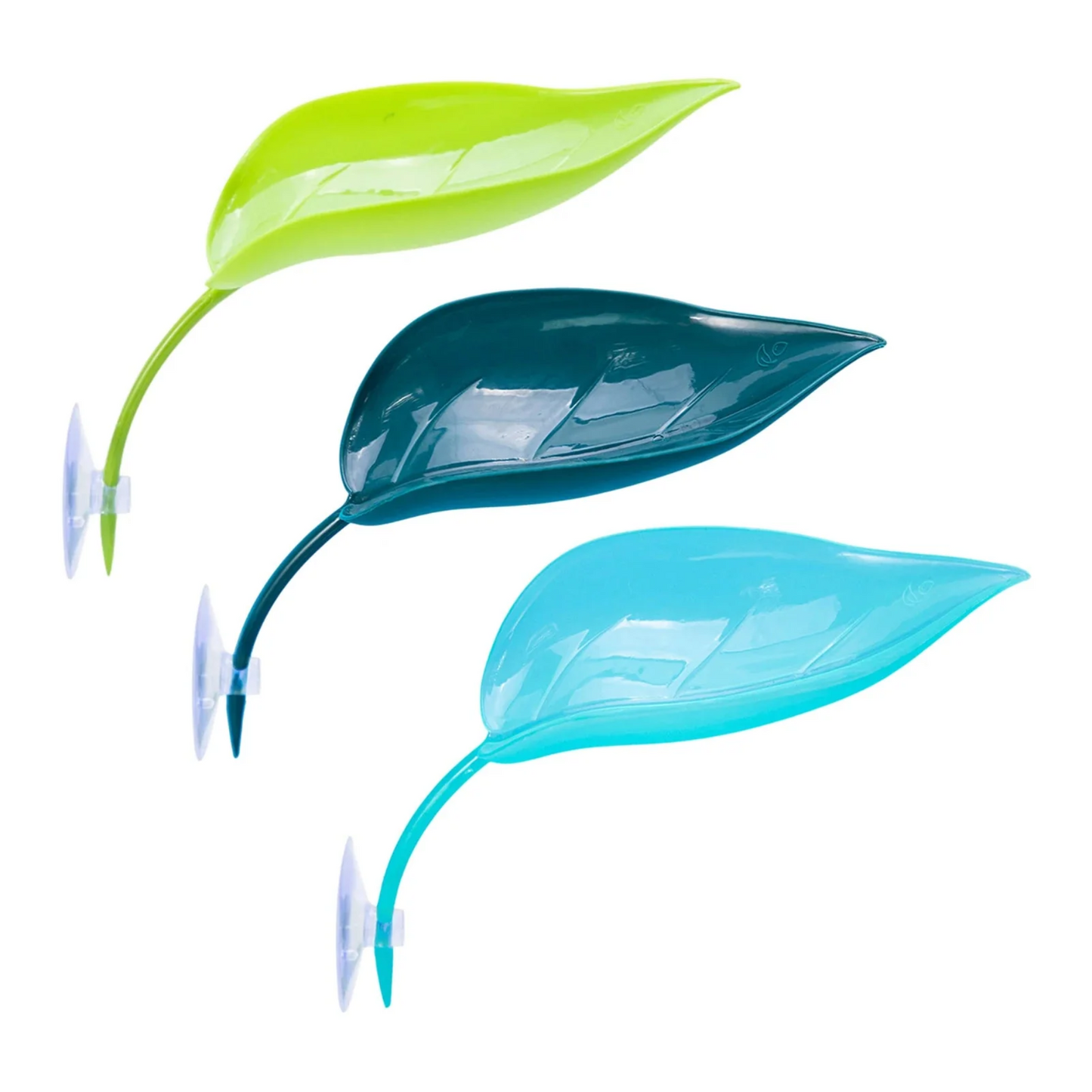 Feuille Ventouse pour Terrarium – Repos & Cachette Reptiles