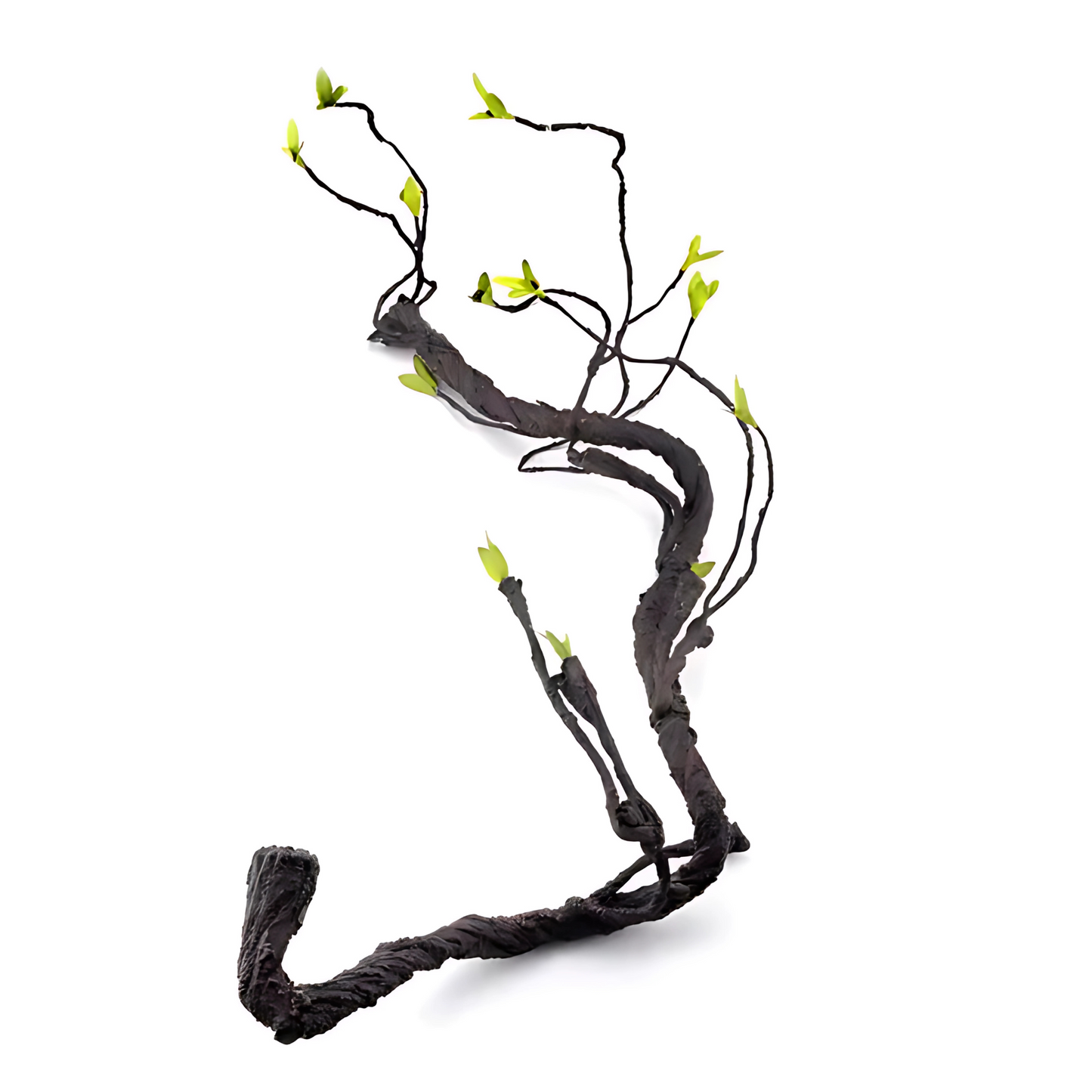 Lianes pour Terrarium style Jungle