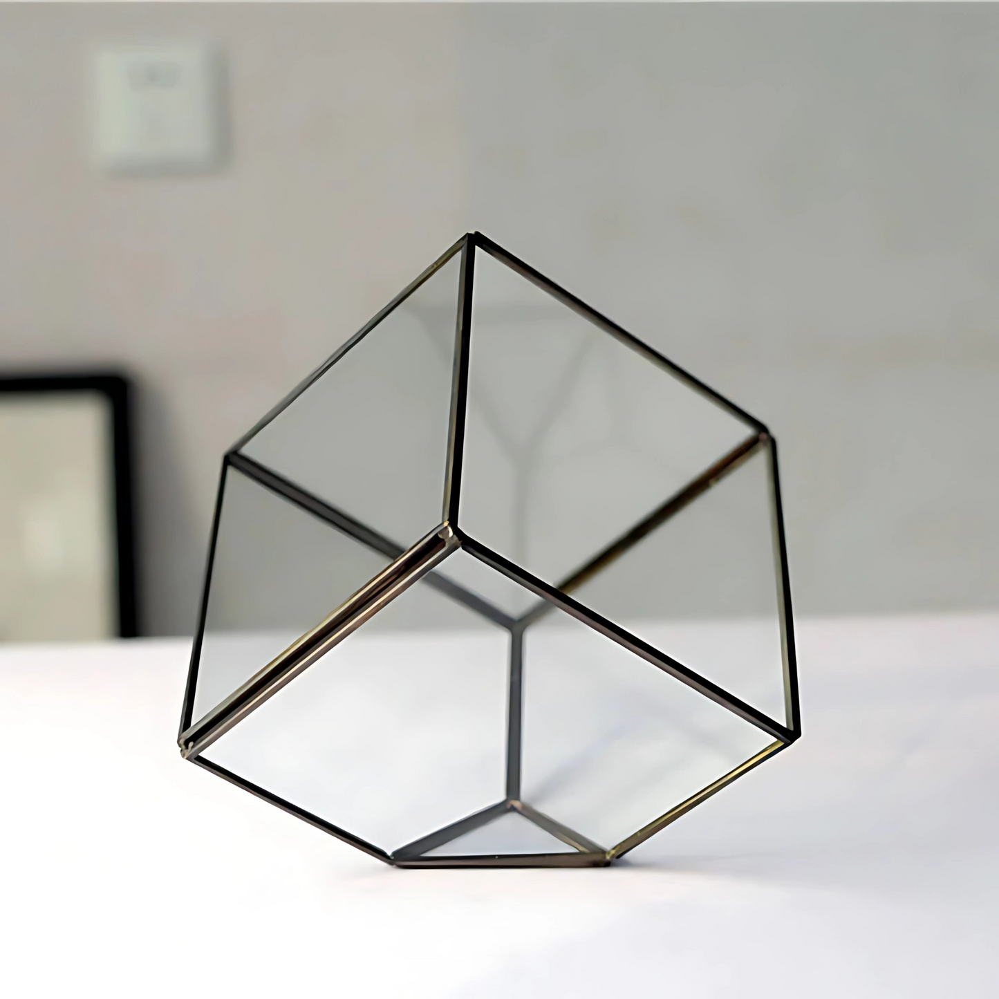 Kit Terrarium en Verre Cube
