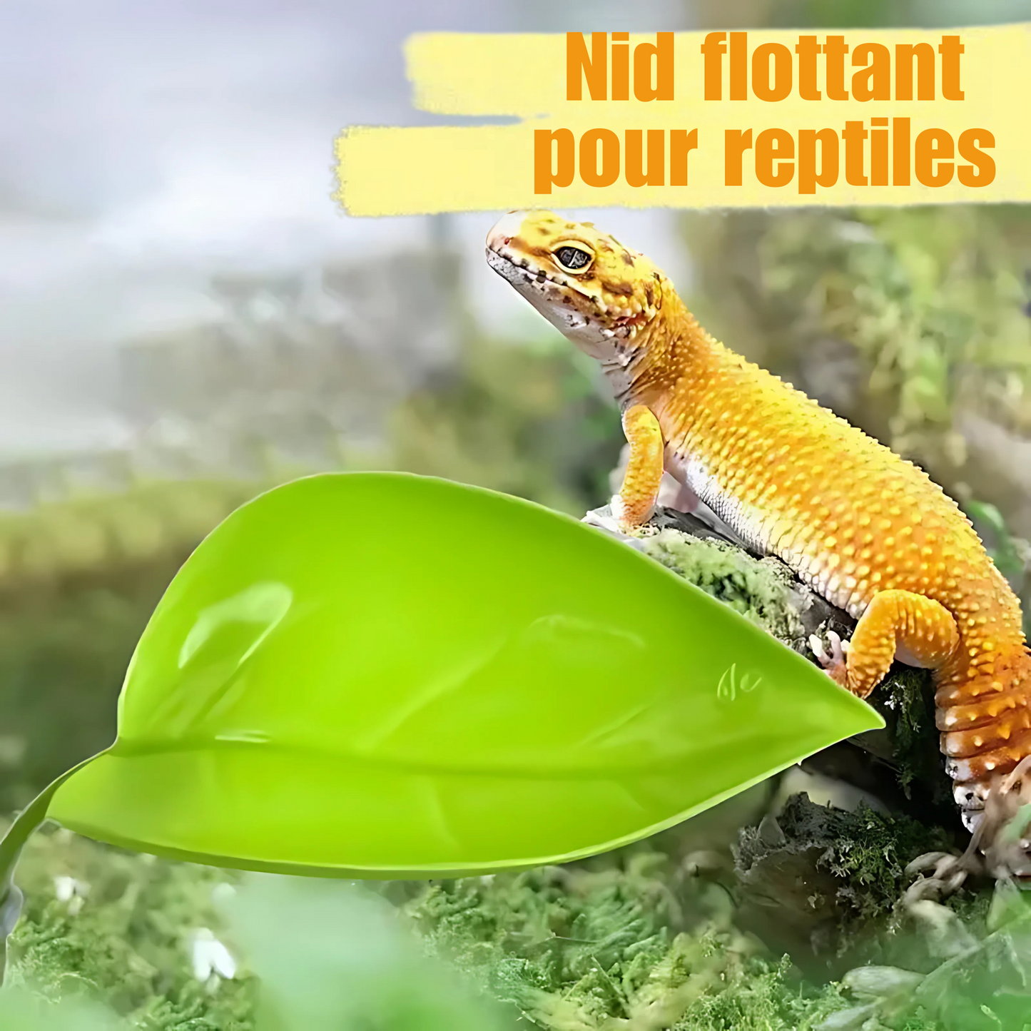 Feuille Ventouse pour Terrarium – Repos & Cachette Reptiles