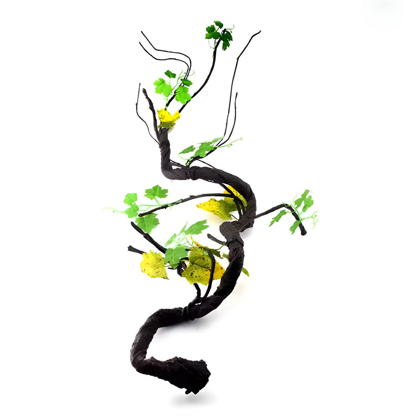 Lianes pour Terrarium style Jungle
