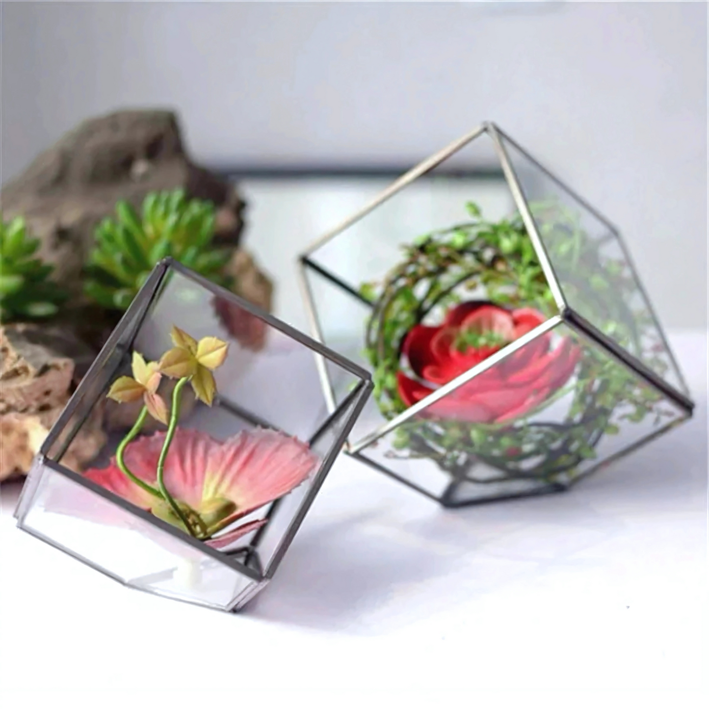 Kit Terrarium en Verre Cube