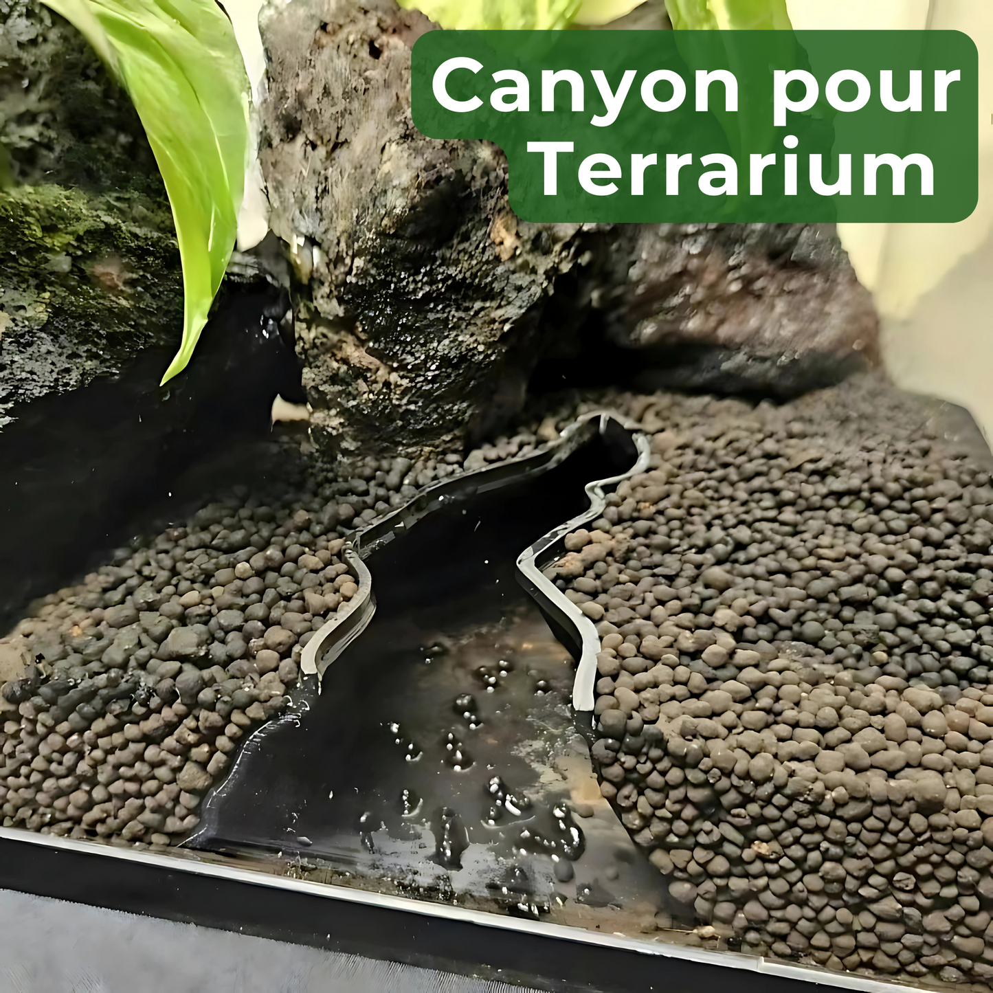 Canyon pour Terrarium – Décor Imprimé & Partie Aquatique Intégrée