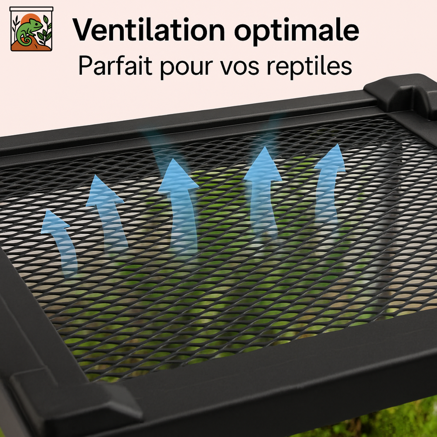 Terrarium en Verre Trempé Haute Transparence