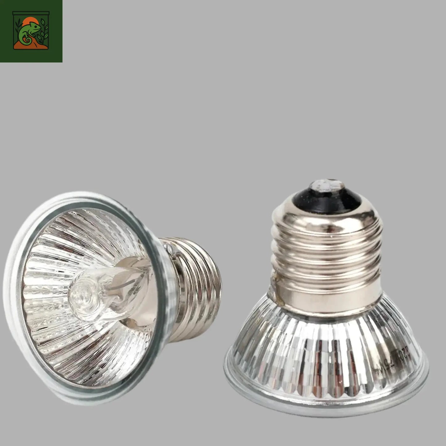 Ampoule UVA pour Reptiles