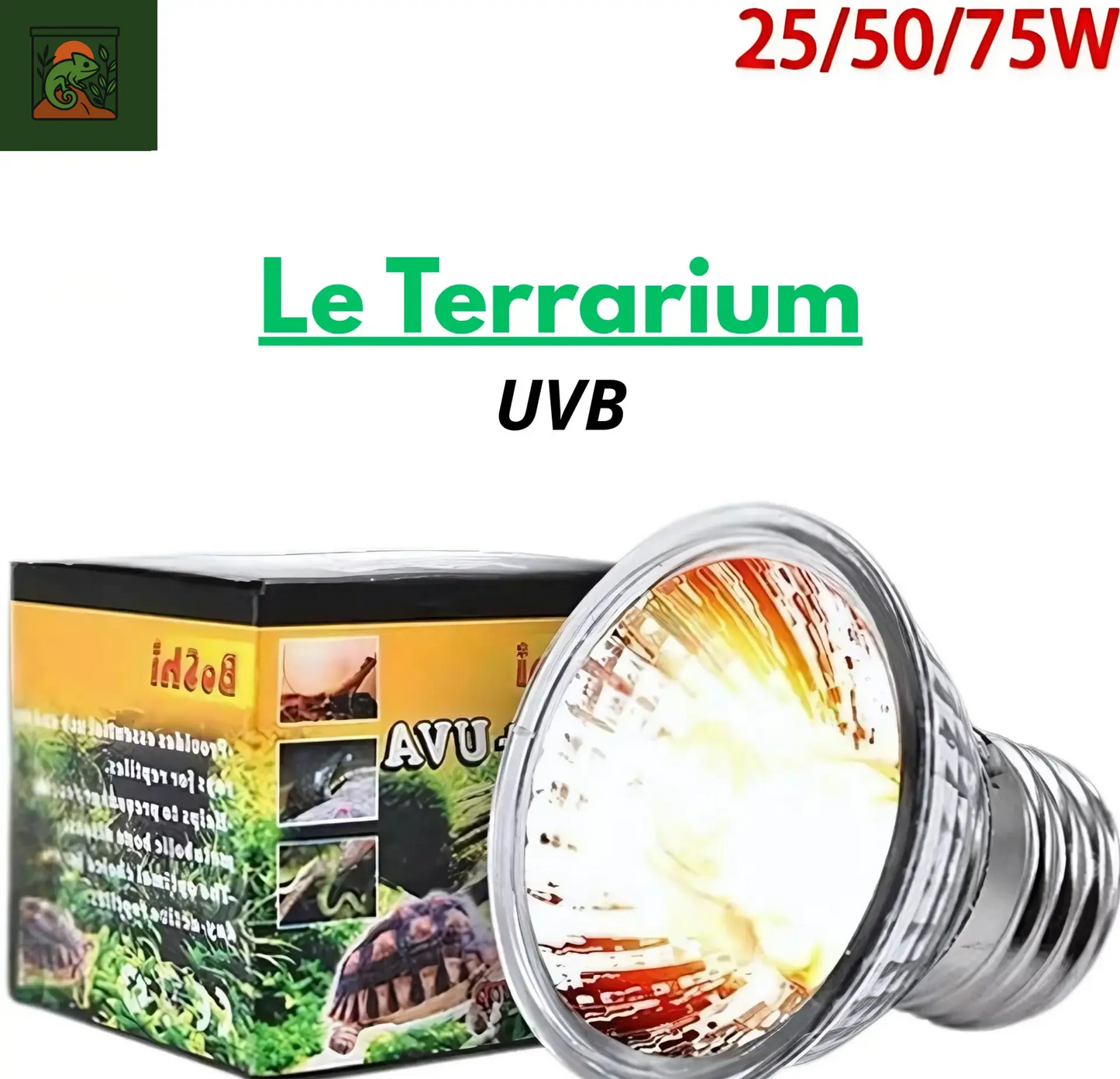 Ampoule UVA pour Reptiles