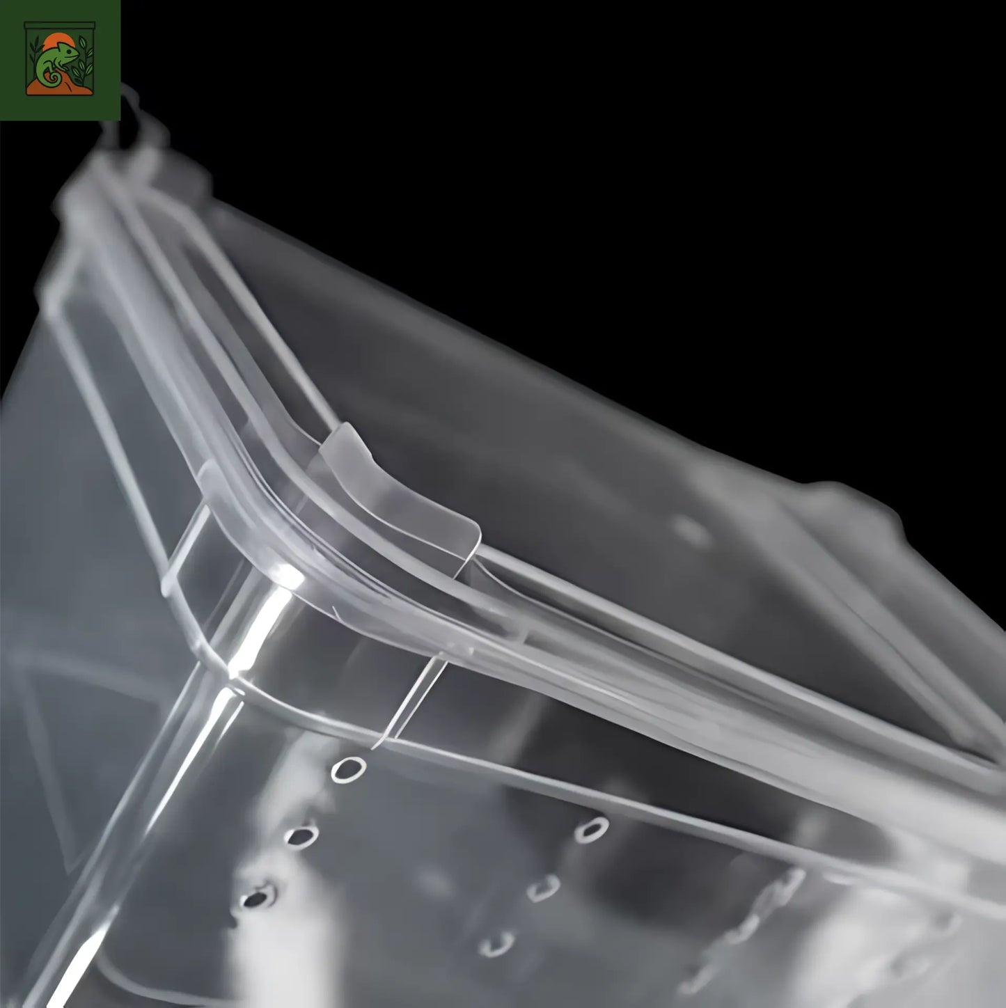 Boîte d’Élevage Transparente pour Reptiles