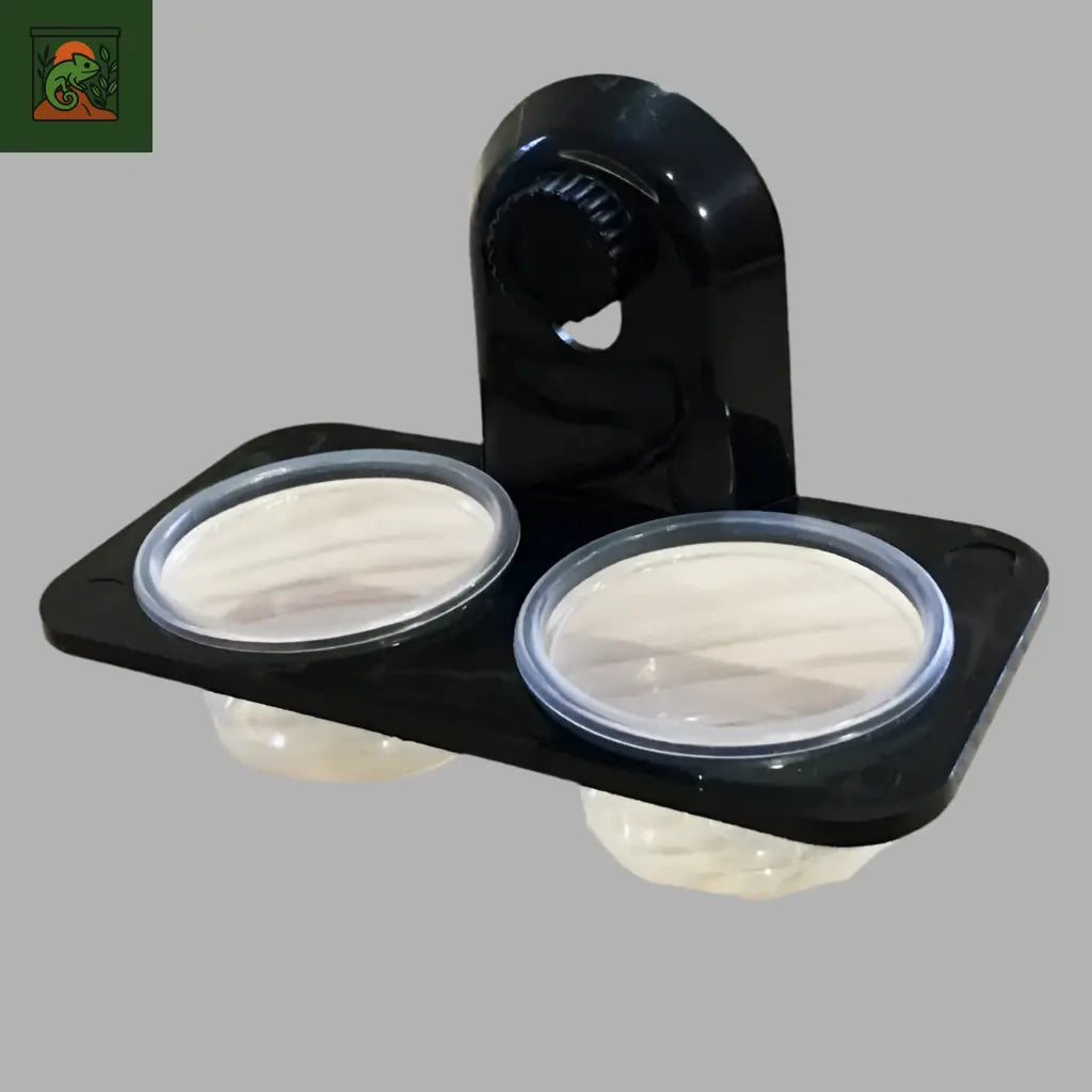 Bol d’Alimentation pour Terrarium
