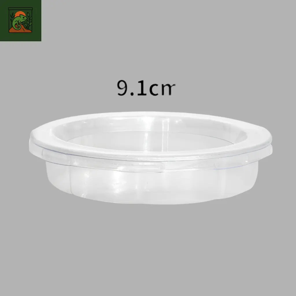 Bol de Nourrissage Anti-Fuite pour Reptiles
