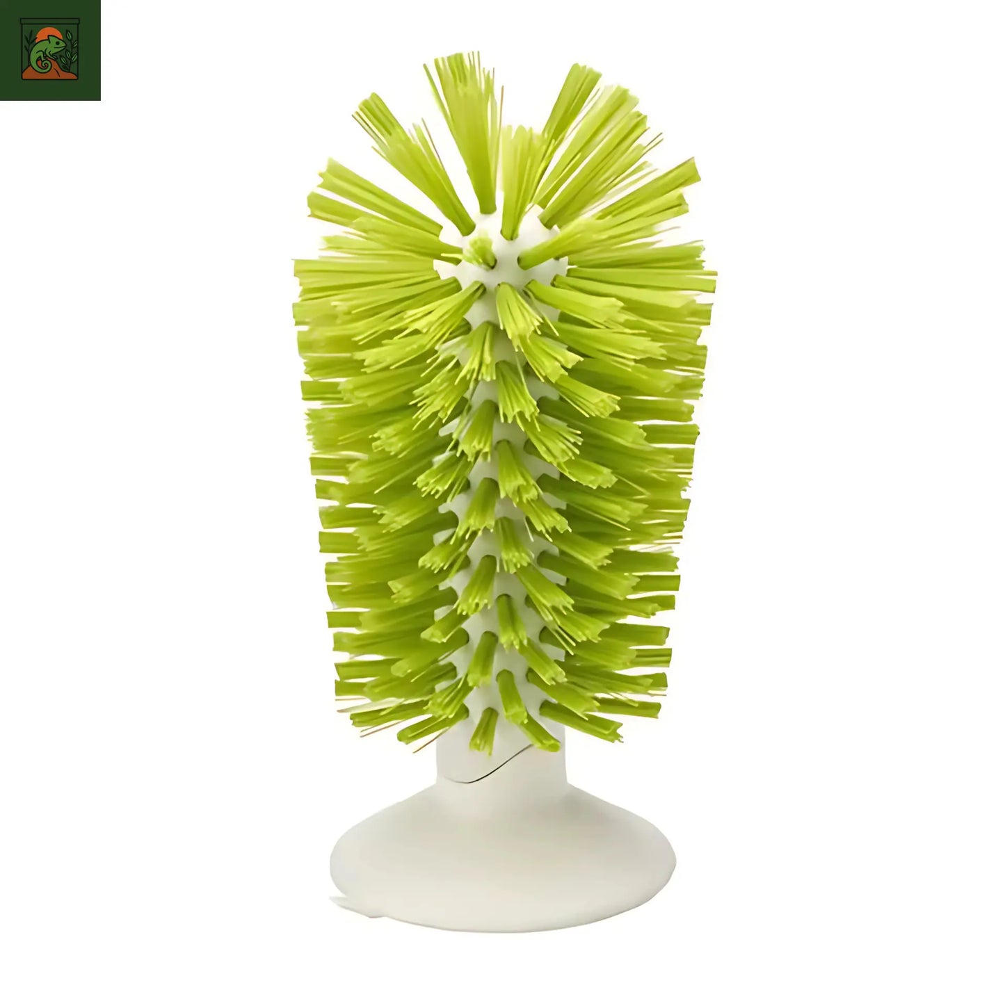 Brosse pour tortue – Outil d’Exfoliation Terrarium pour carapace