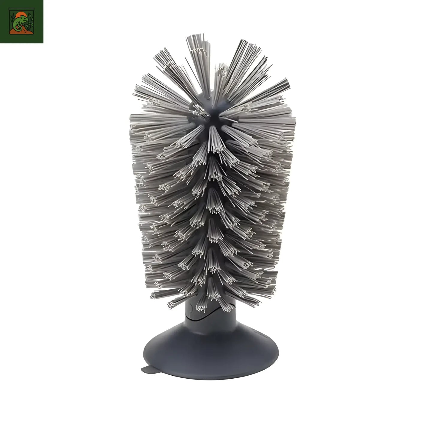 Brosse pour tortue – Outil d’Exfoliation Terrarium pour carapace