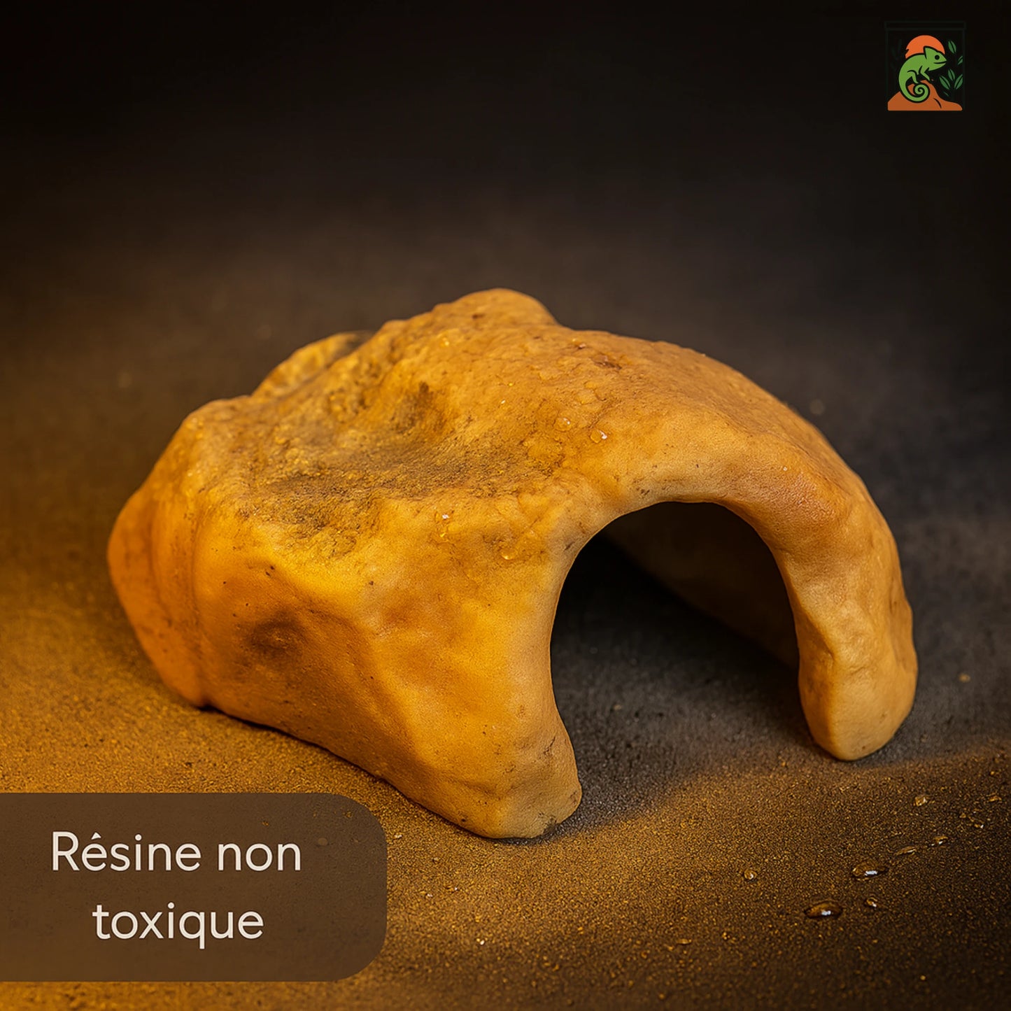 Cachette Terrarium pour Reptiles & Tortues – Résine Naturelle Haute Qualité