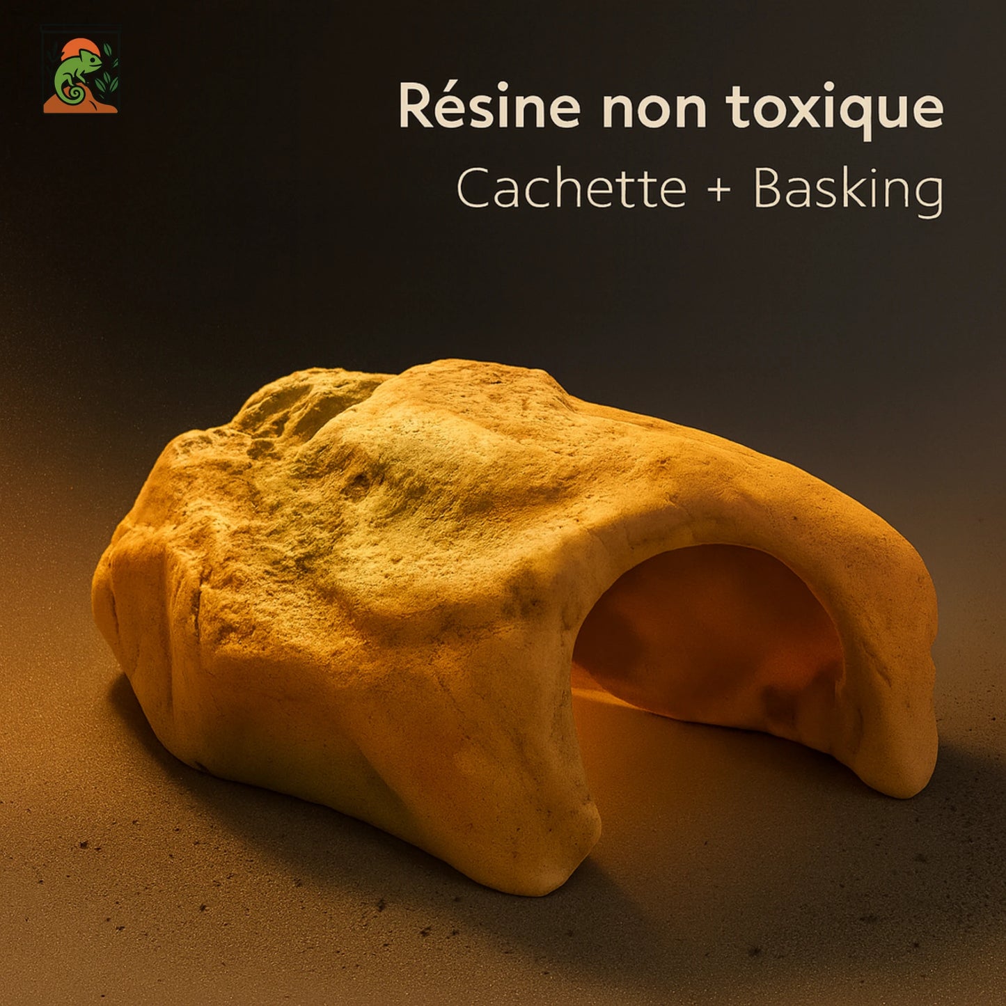 Cachette Terrarium pour Reptiles & Tortues – Résine Naturelle Haute Qualité
