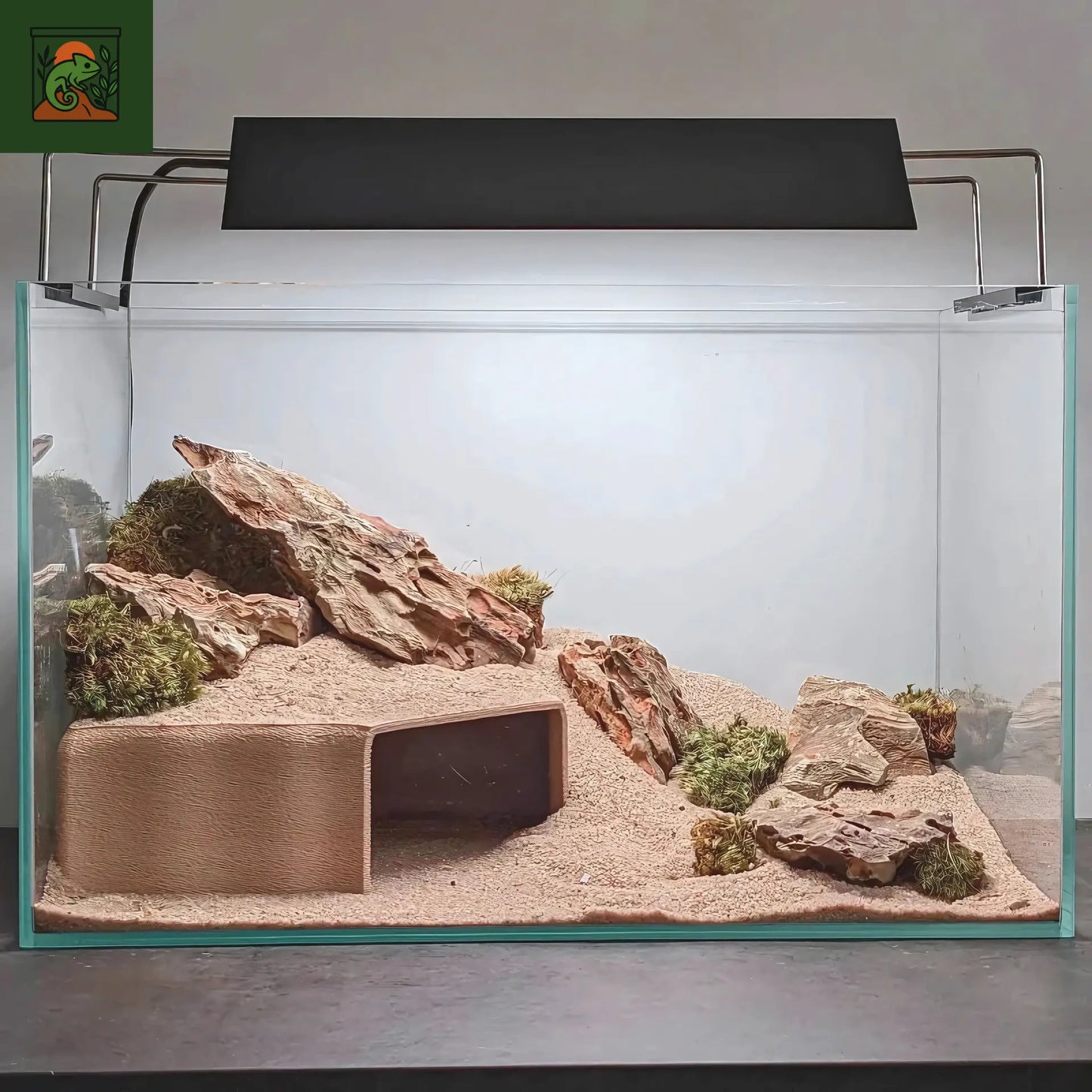 Cachette de Grotte Souterraine pour Terrarium