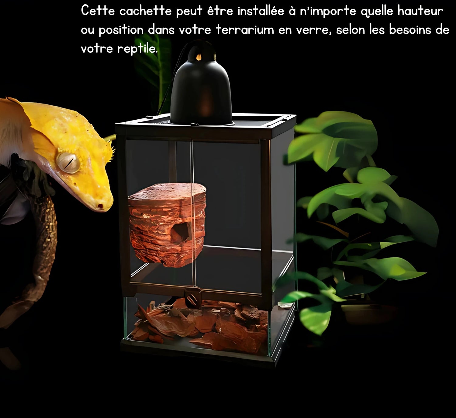 Cachette en Roche pour Terrarium – Abri Suspendu pour Réptiles