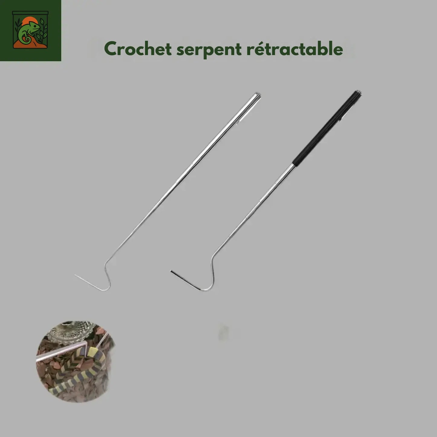 Crochet de Capture de Serpent Rétractable en Acier Inoxydable