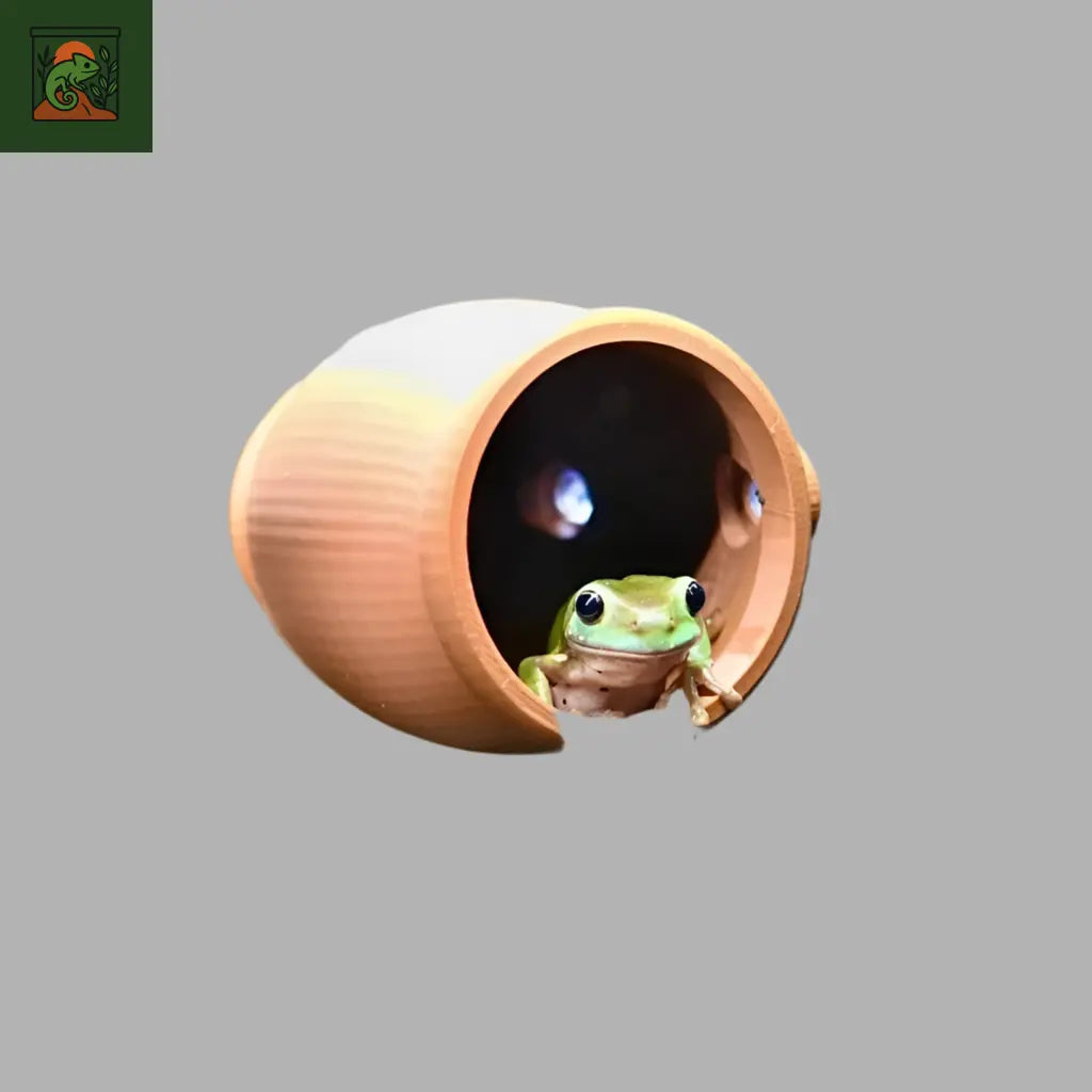 Décoration de Grotte pour Terrarium
