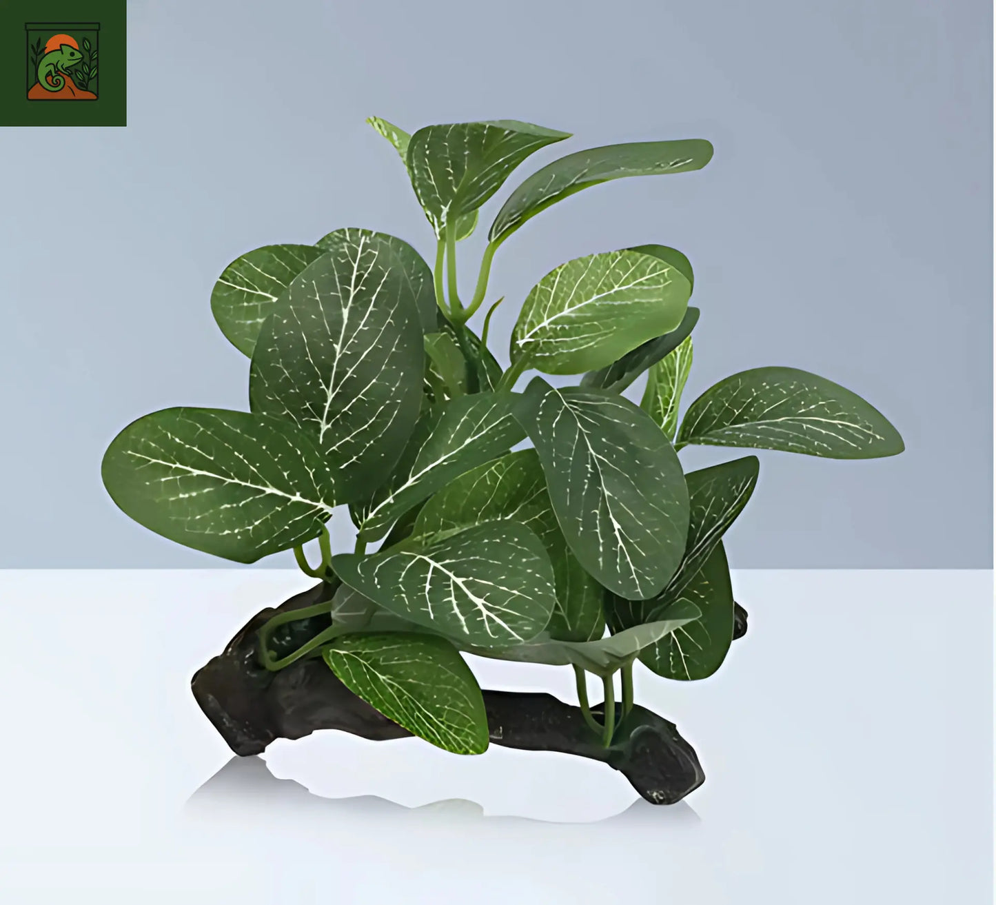 Décoration de Plante Terrarium – Tronc d’Arbre et Racines Artificielles pour Reptiles