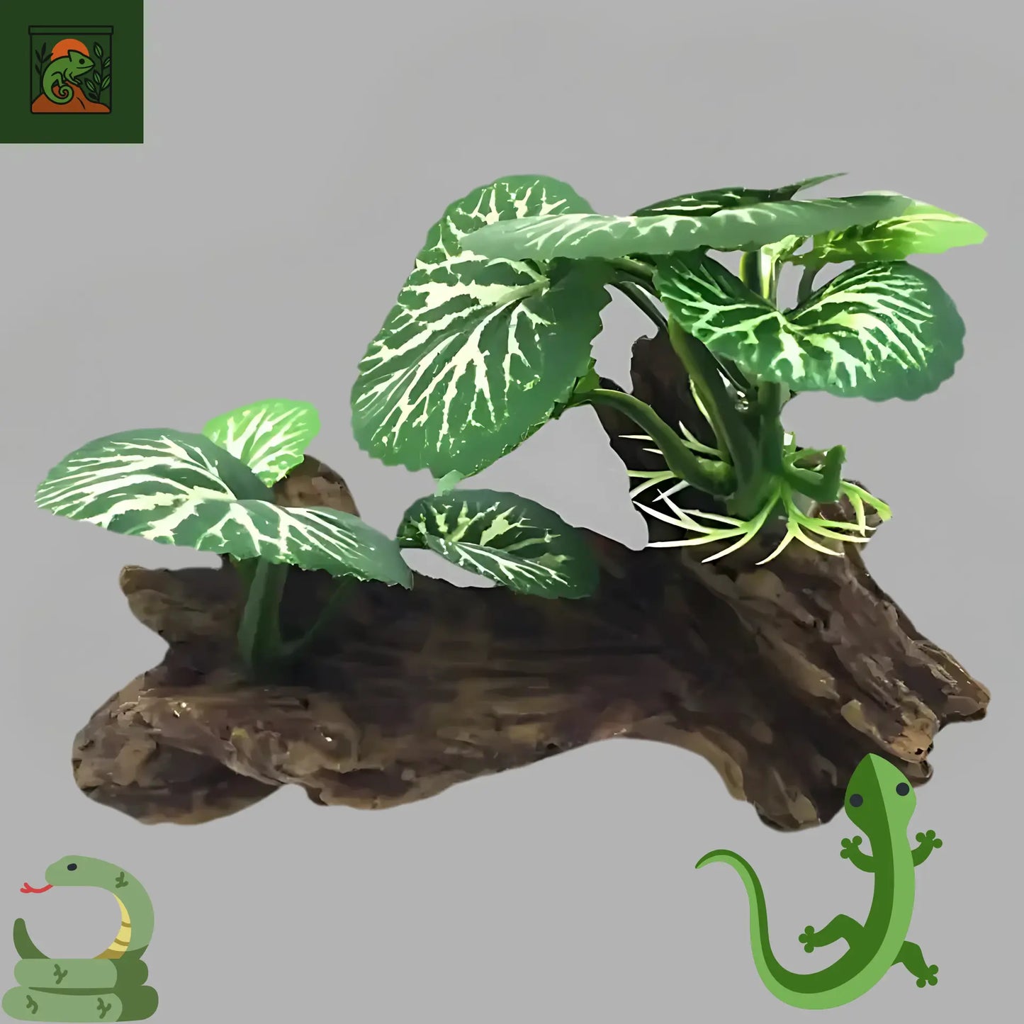 Décoration de Plante Terrarium – Tronc d’Arbre et Racines Artificielles pour Reptiles