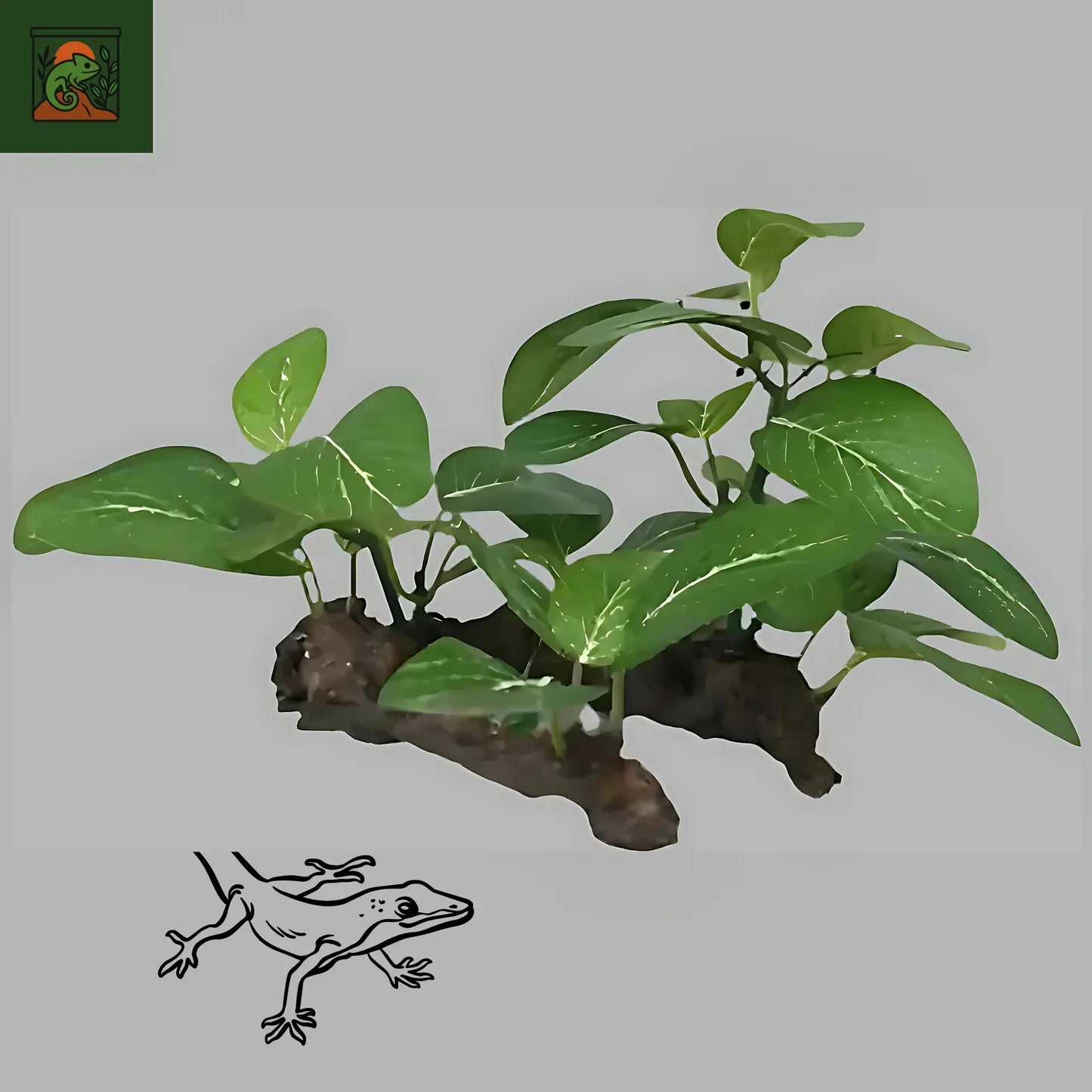 Décoration de Plante Terrarium – Tronc d’Arbre et Racines Artificielles pour Reptiles