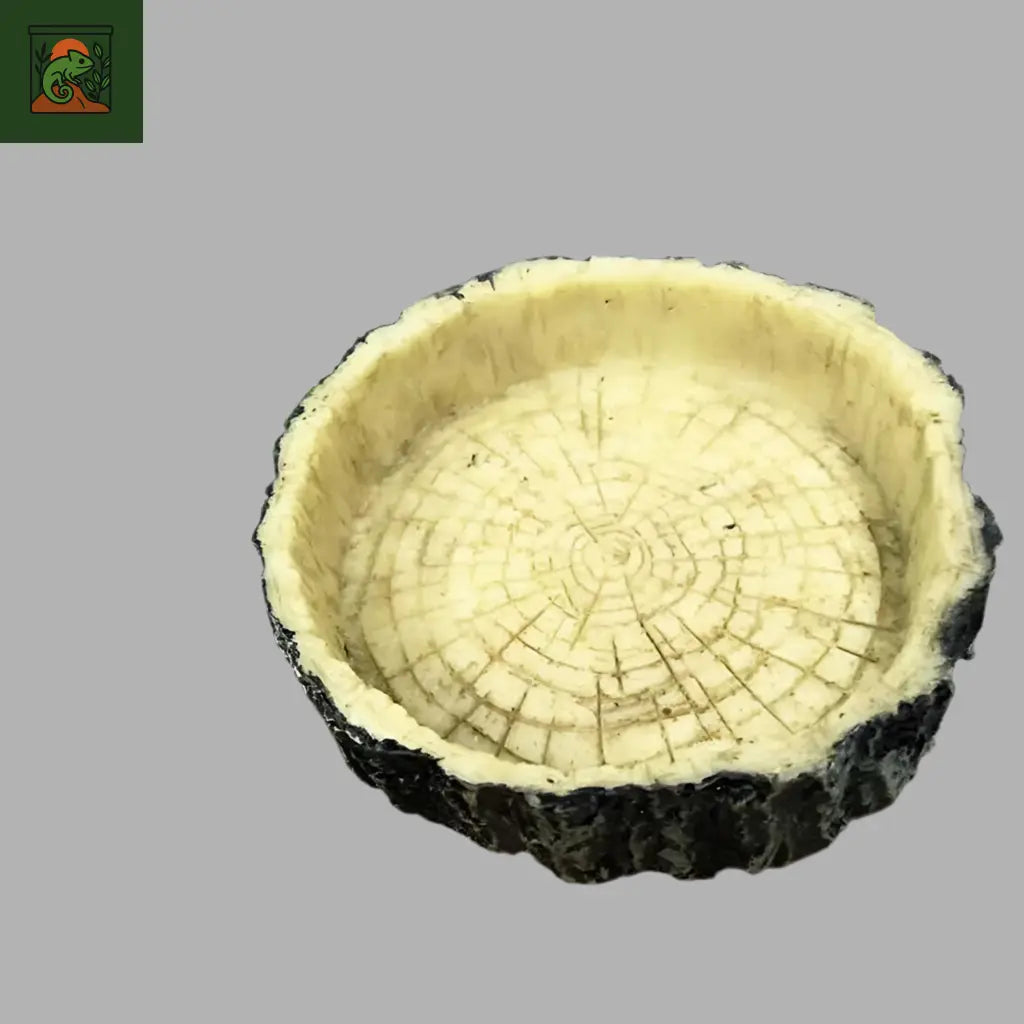 Gamelle en Résine 10 cm pour Terrarium