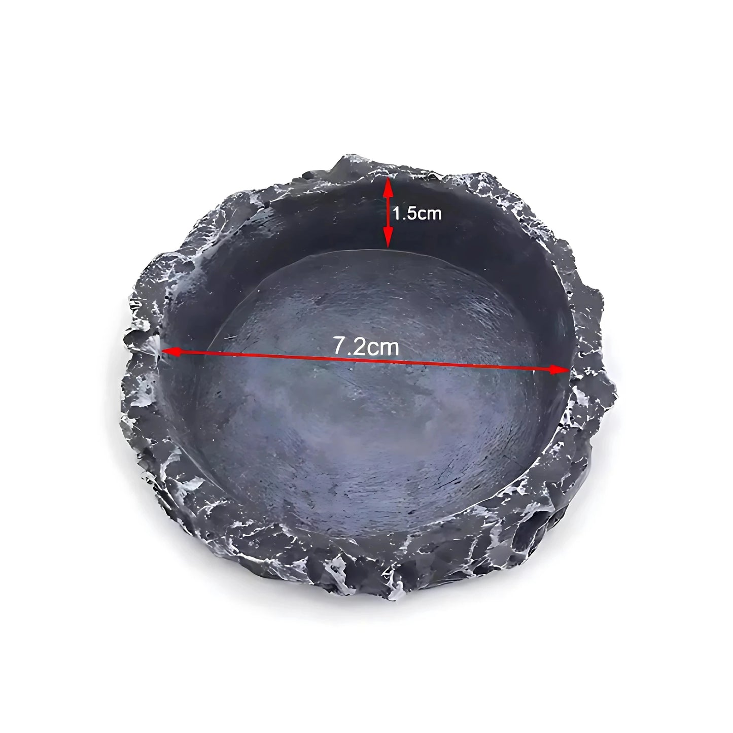 Gamelle en Résine pour Terrarium
