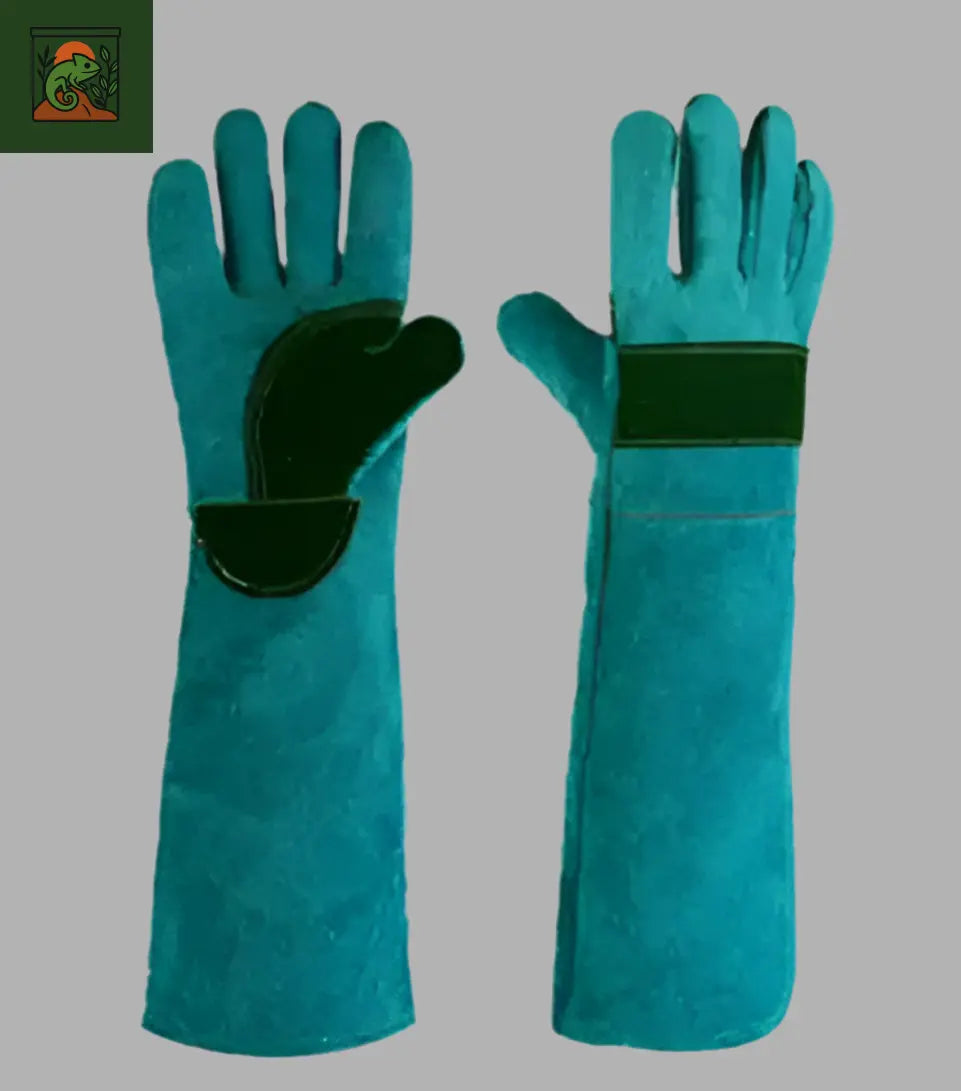 Gants de Protection Anti-Morsure Longs en Cuir Véritable