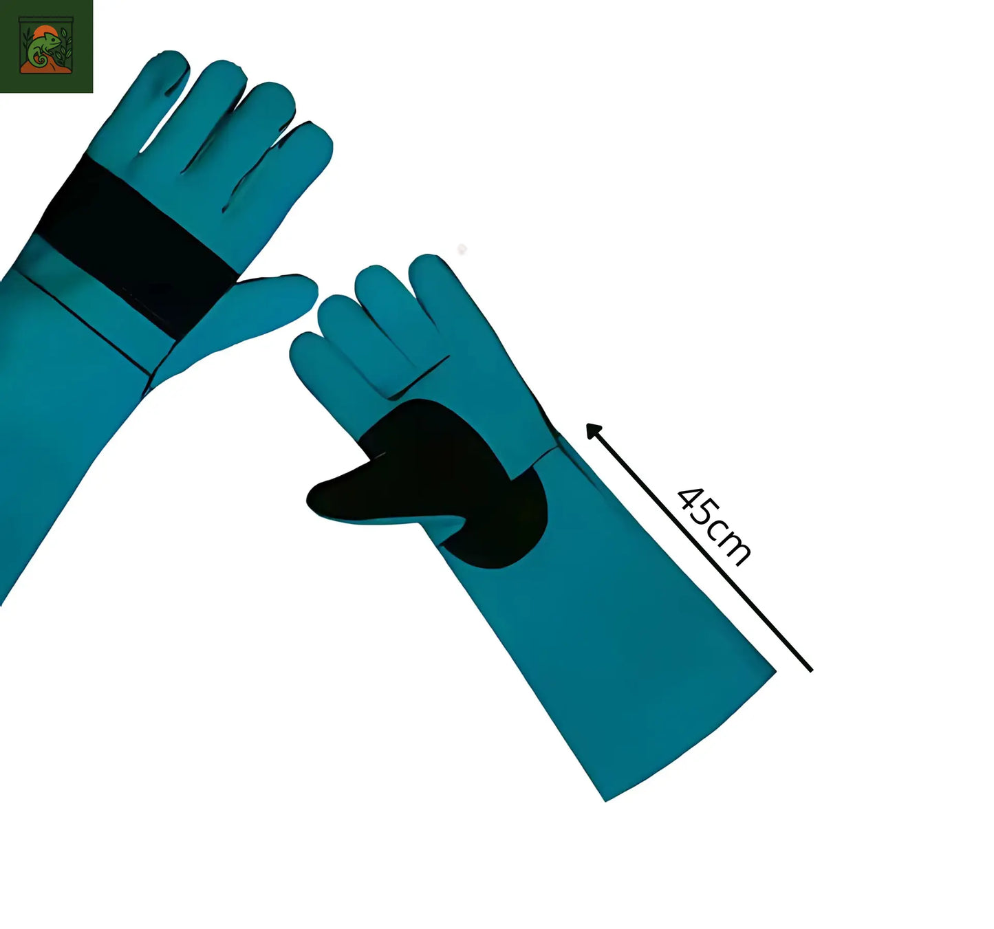 Gants de Protection Anti-Morsure en Cuir pour Terrarium