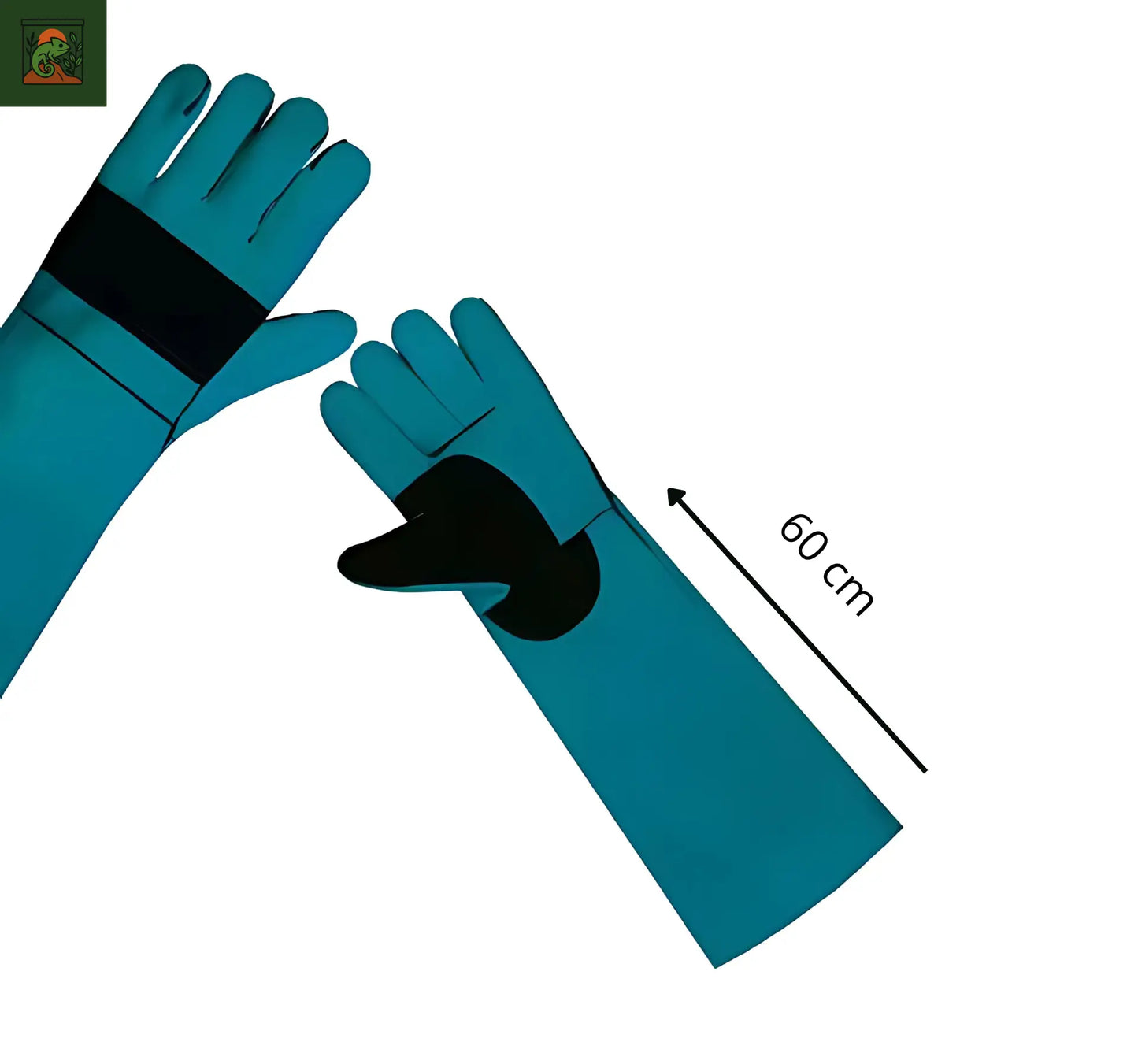 Gants de Protection Anti-Morsure en Cuir pour Terrarium