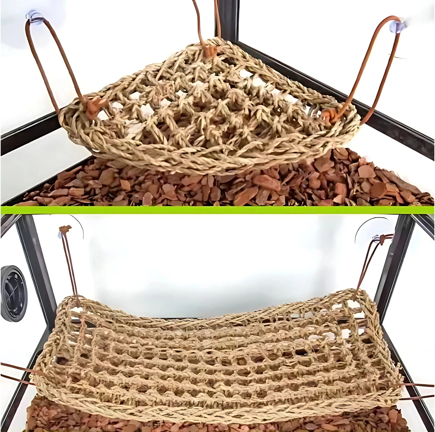 Hamac pour Reptile Ultra-Confort – Fibres Naturelles & Ventouses