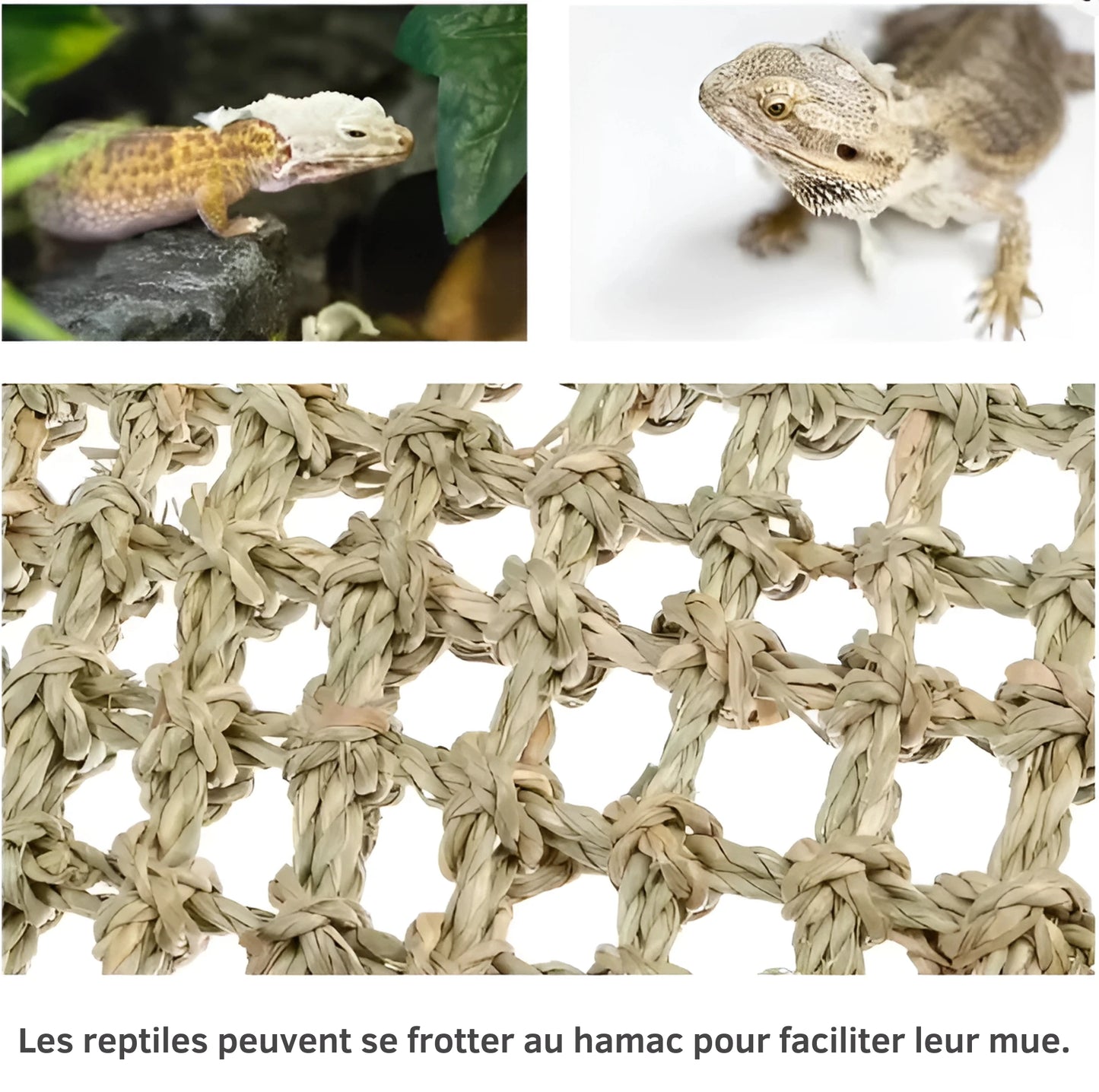 Hamac pour Reptile Ultra-Confort – Fibres Naturelles & Ventouses